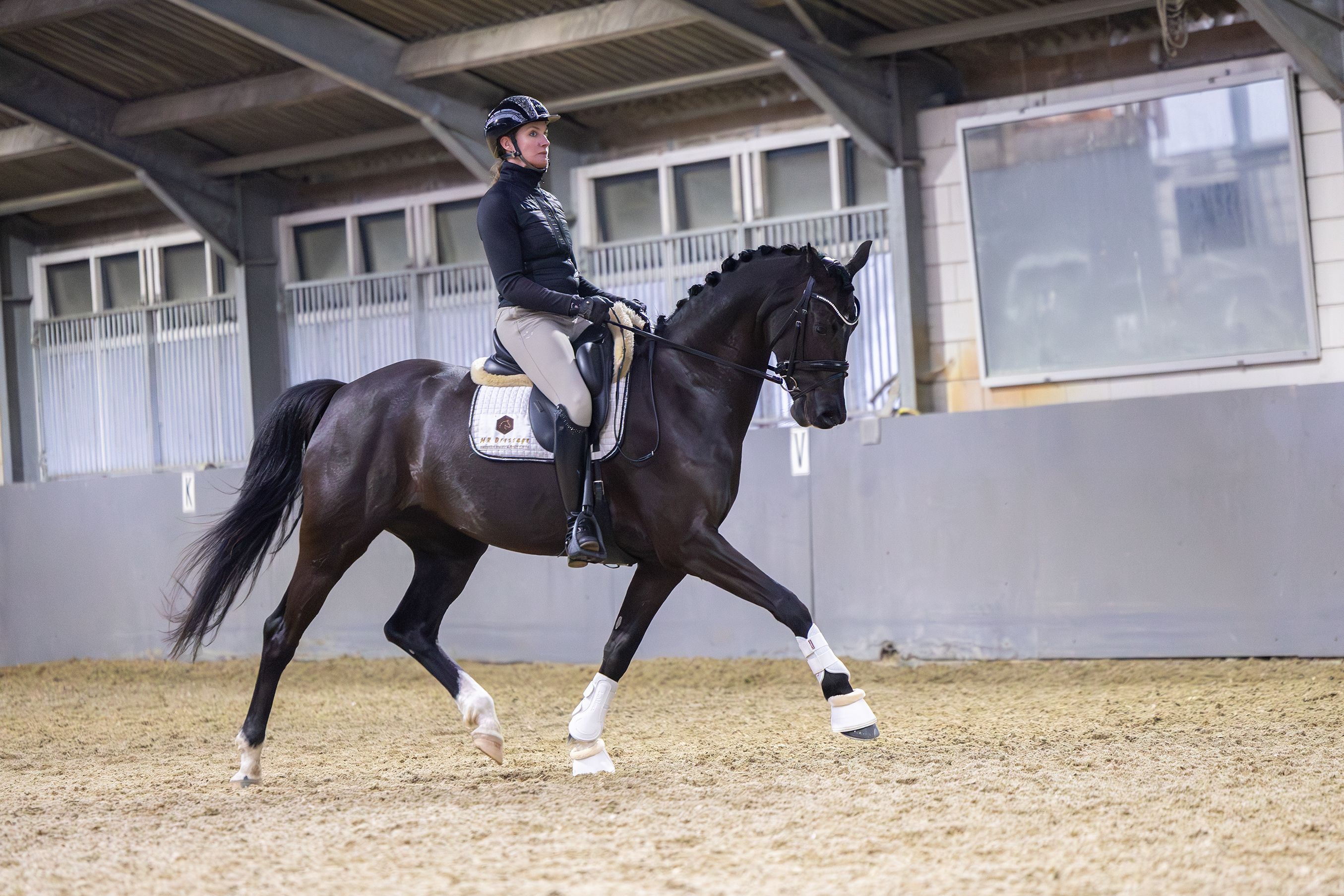 kwpn dressuurpaard merrie 6 år till salu - Foto 3