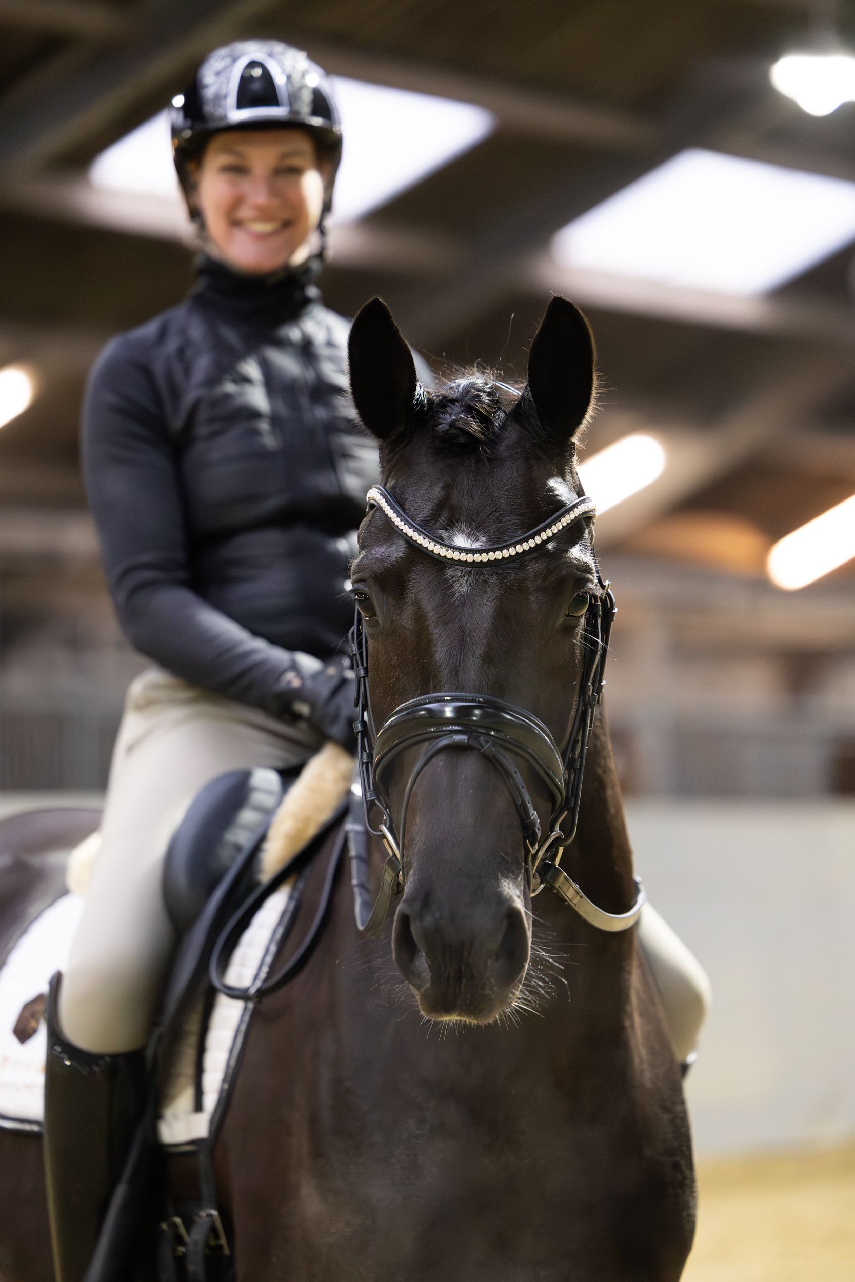 kwpn dressuurpaard merrie 6 år till salu - Foto 4
