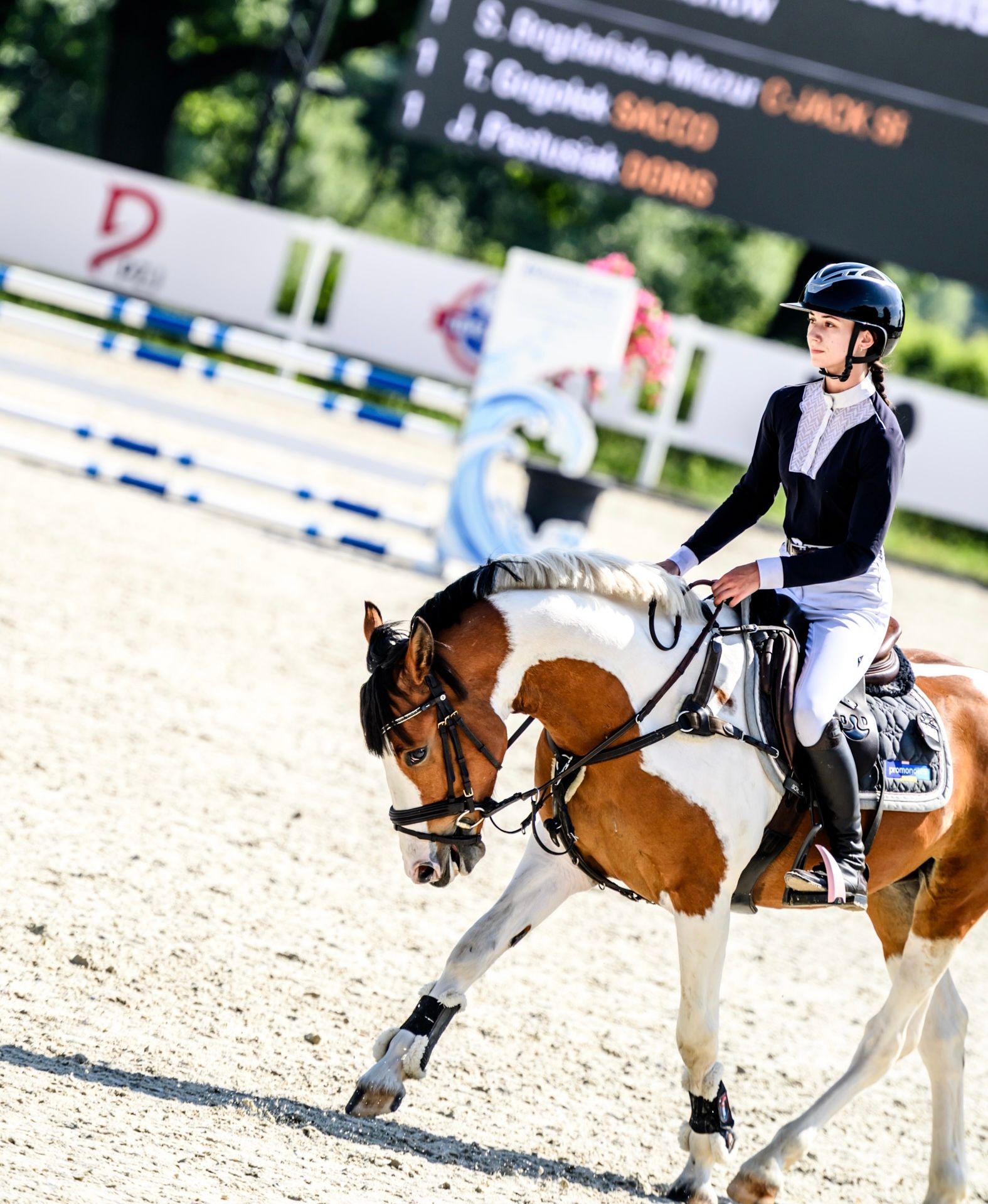 duitse-rijpony springpony ruin 5 lat andere-kleur na sprzedaż - Zdjęcie 6