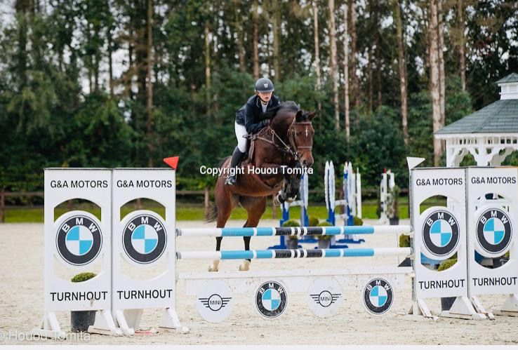 zangersheide springpaard merrie 16 jaar donkerbruin te koop - Foto 5