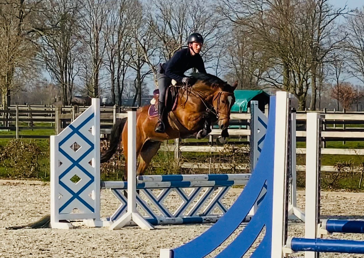 Príjemný všestranný kôň (Allrounder)