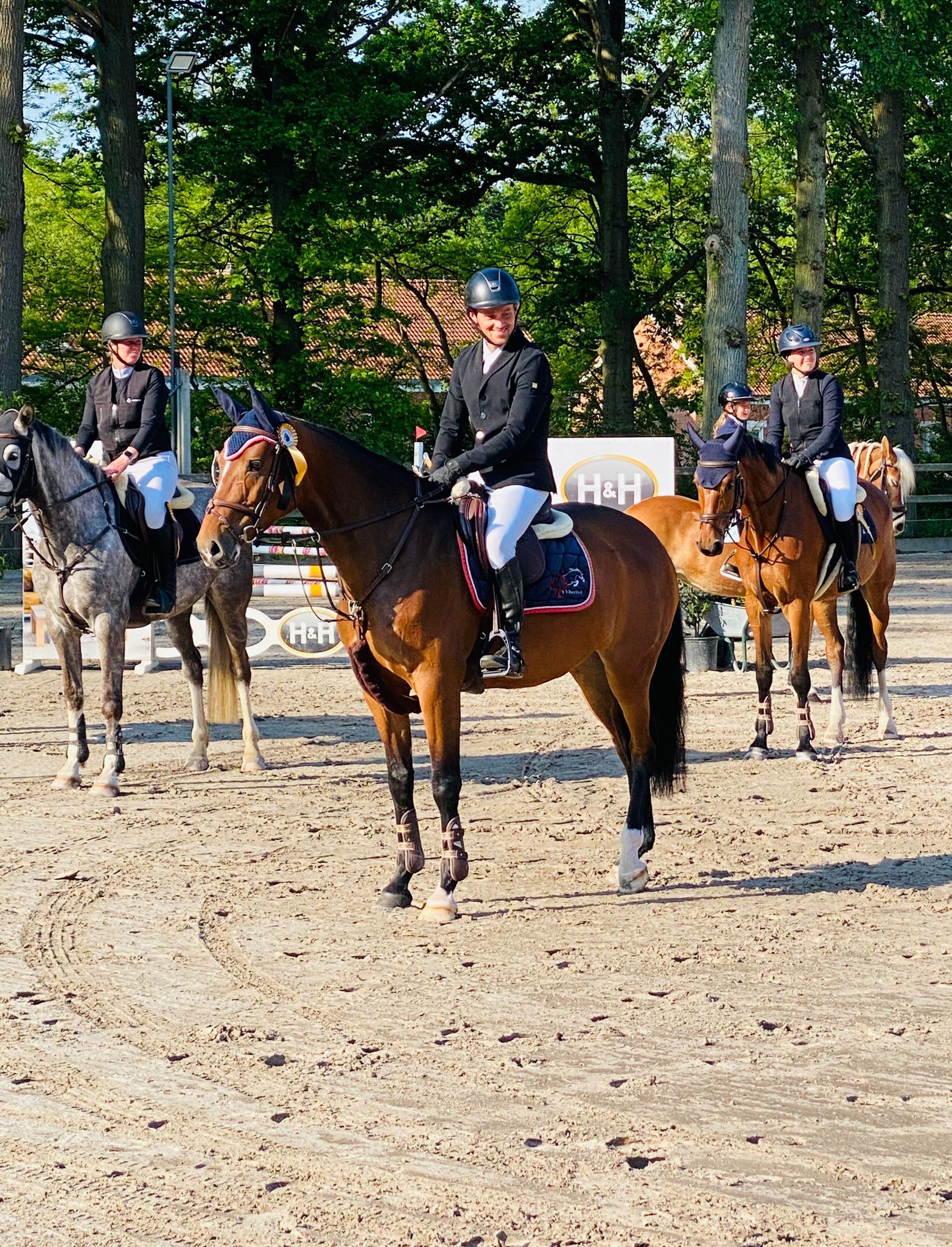 kwpn springpaard merrie 5 år bruin till salu - Foto 6