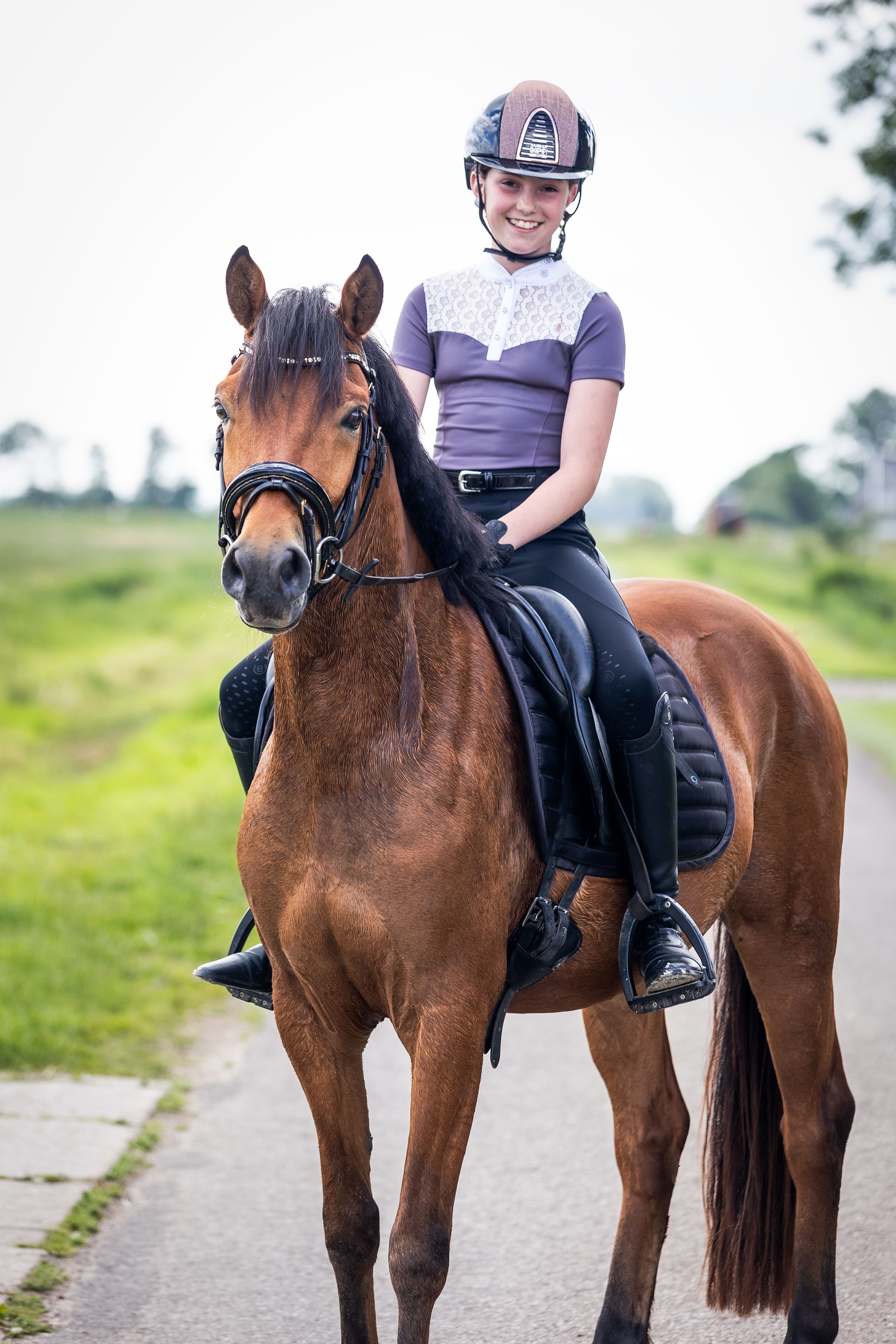 duitse-rijpony dressuurpony ruin 3 歳 bruin 売り出し中 - 写真 6