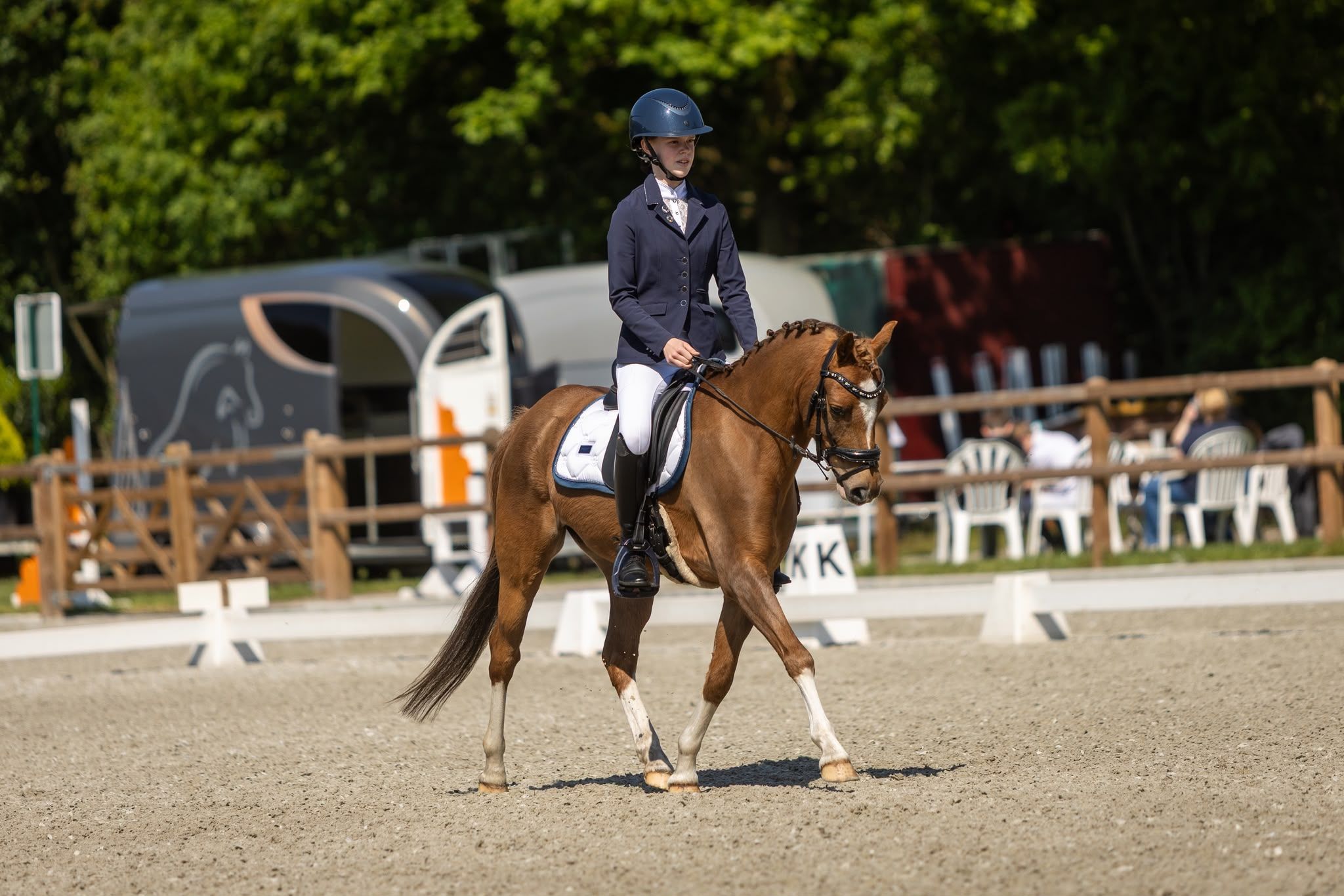 welsh dressuurpony ruin 8 jaar vos te koop - Foto 6