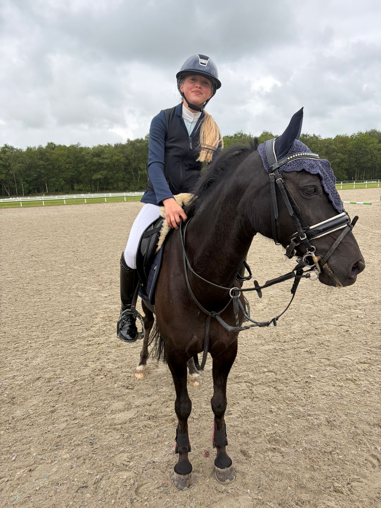 new-forest allround-pony merrie 8 år zwart till salu - Foto 4