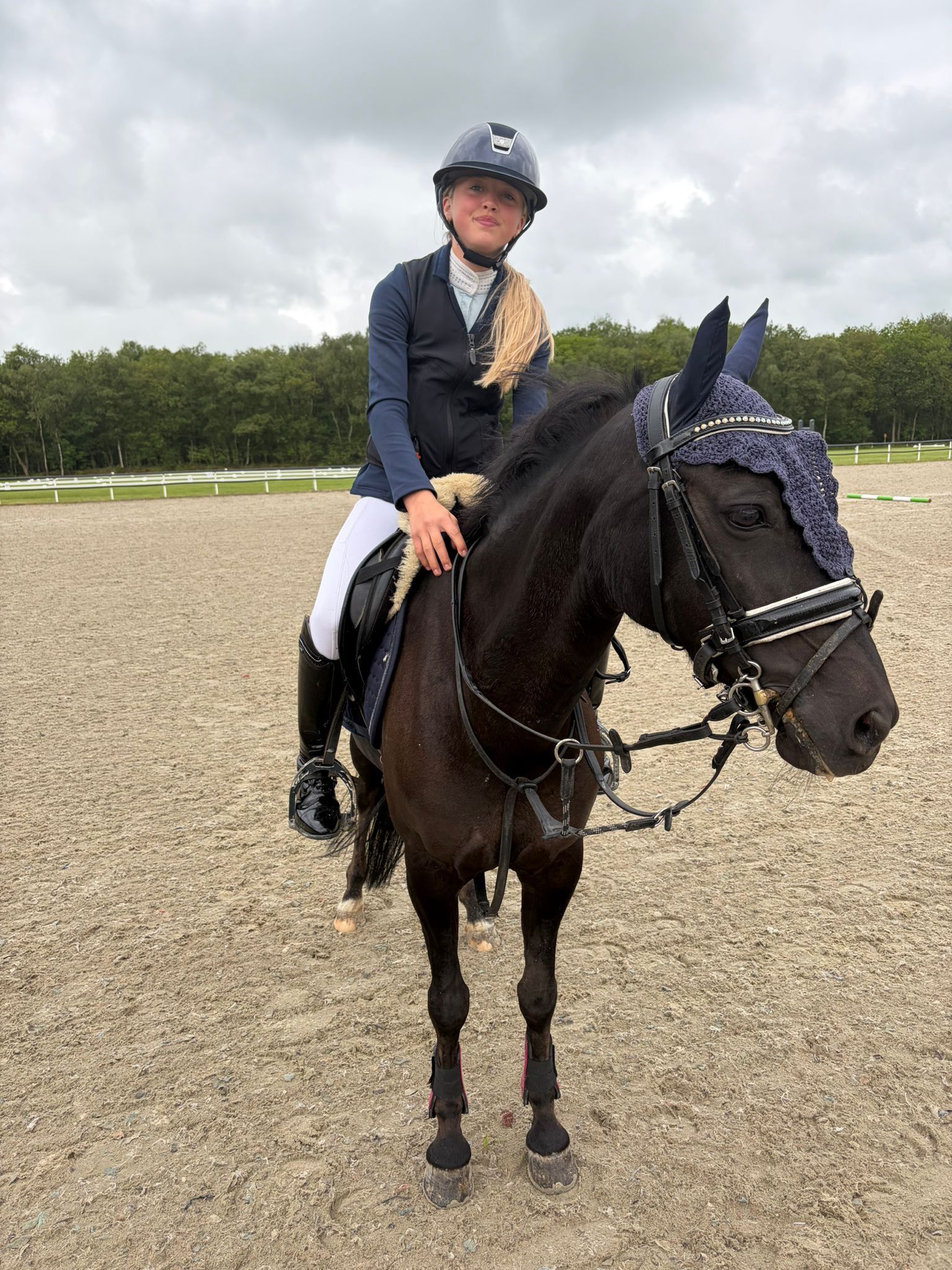 new-forest allround-pony merrie 8 år zwart till salu - Foto 3