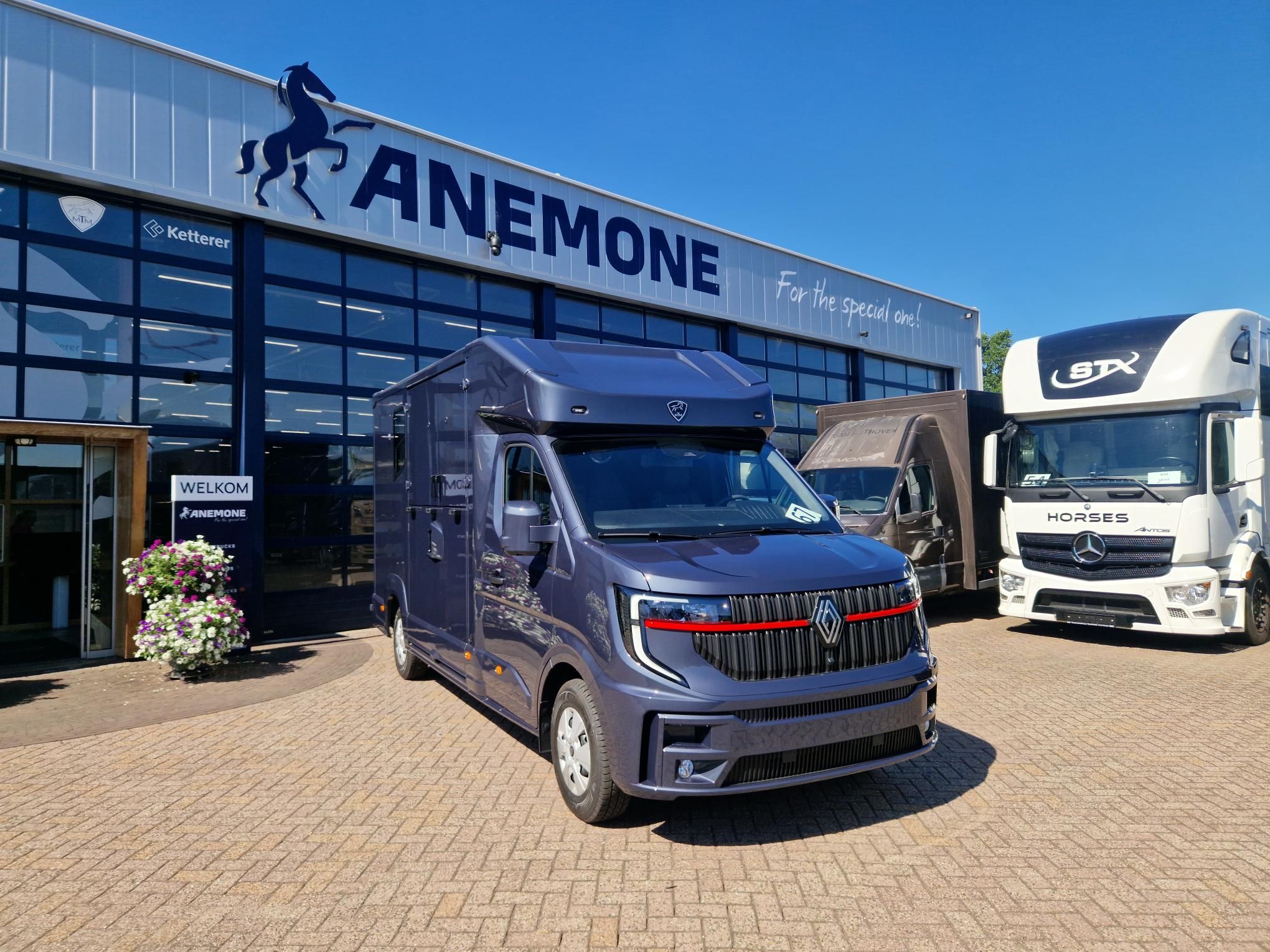 Nový model 2026 MTM Renault Master pro 2 koně Anemone (id:67)