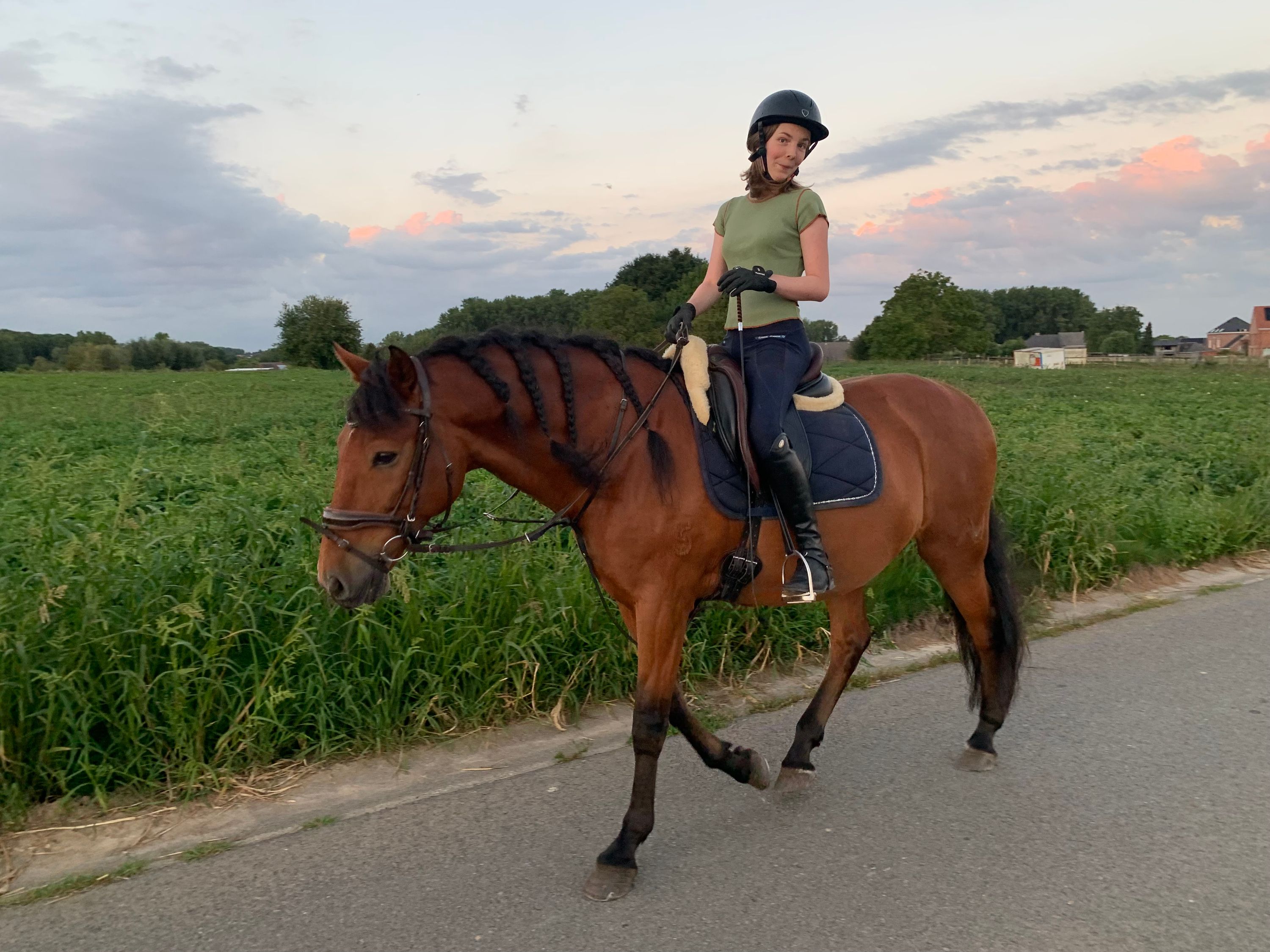 andalusie dressuurpaard ruin 13 år kastanje till salu - Foto 3