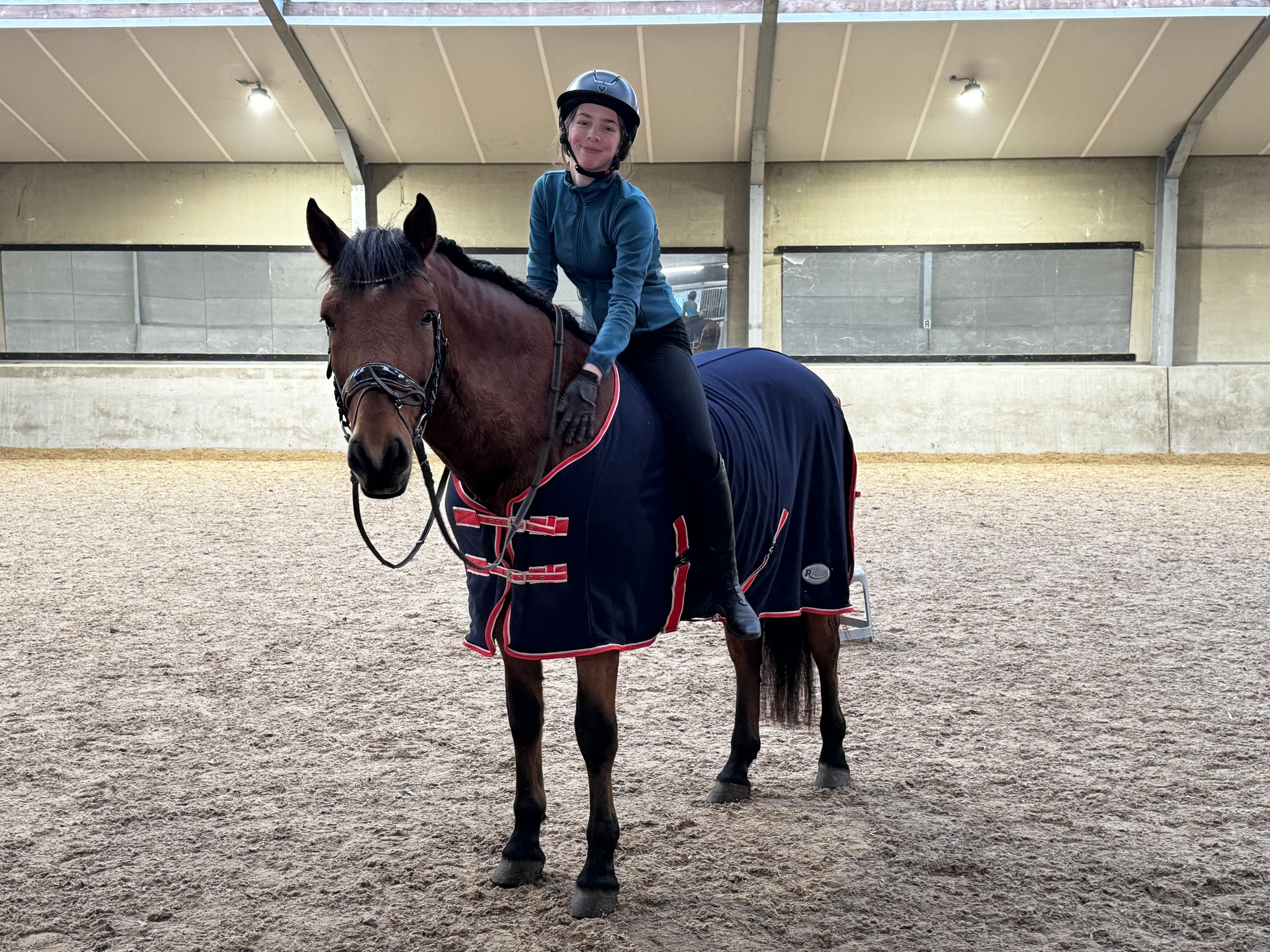 andalusie dressuurpaard ruin 13 år kastanje till salu - Foto 6