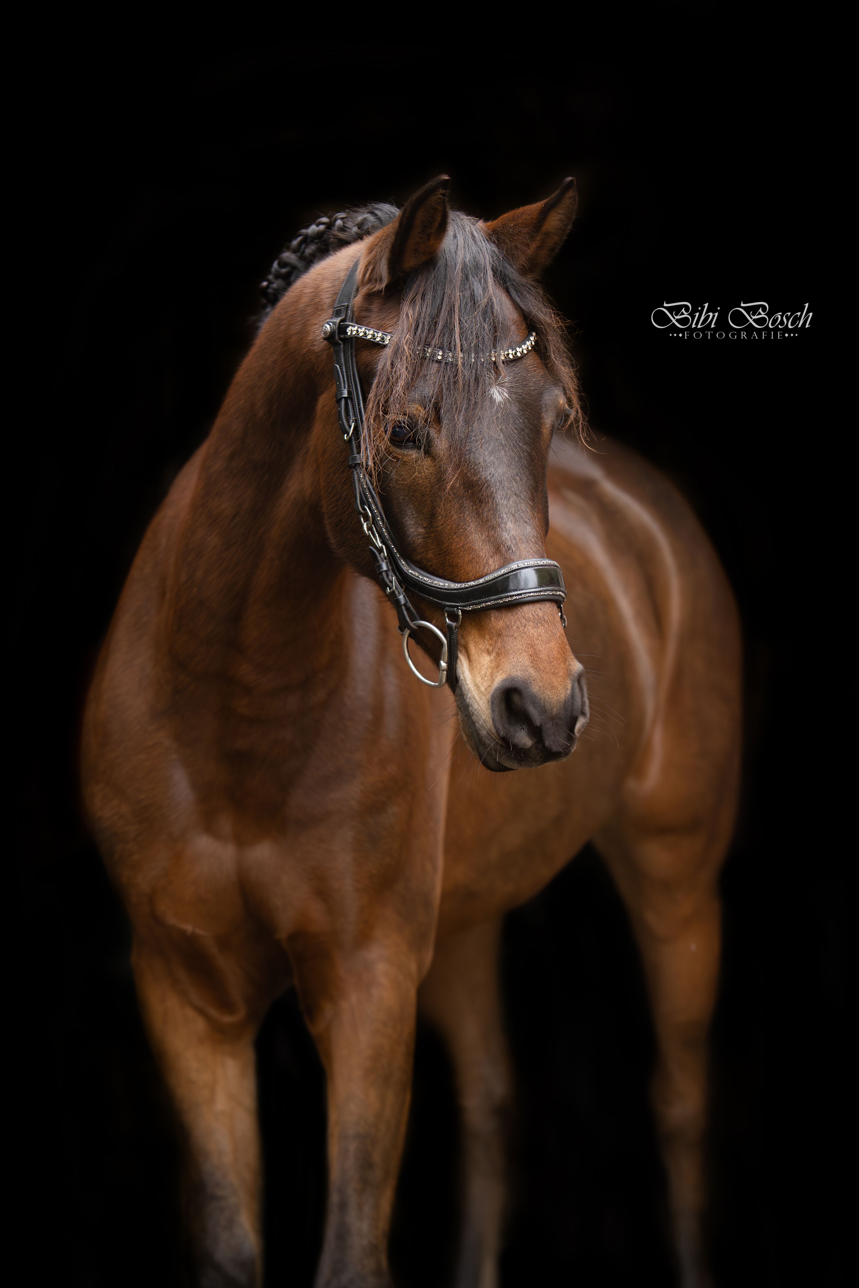 Super knappe allrounder