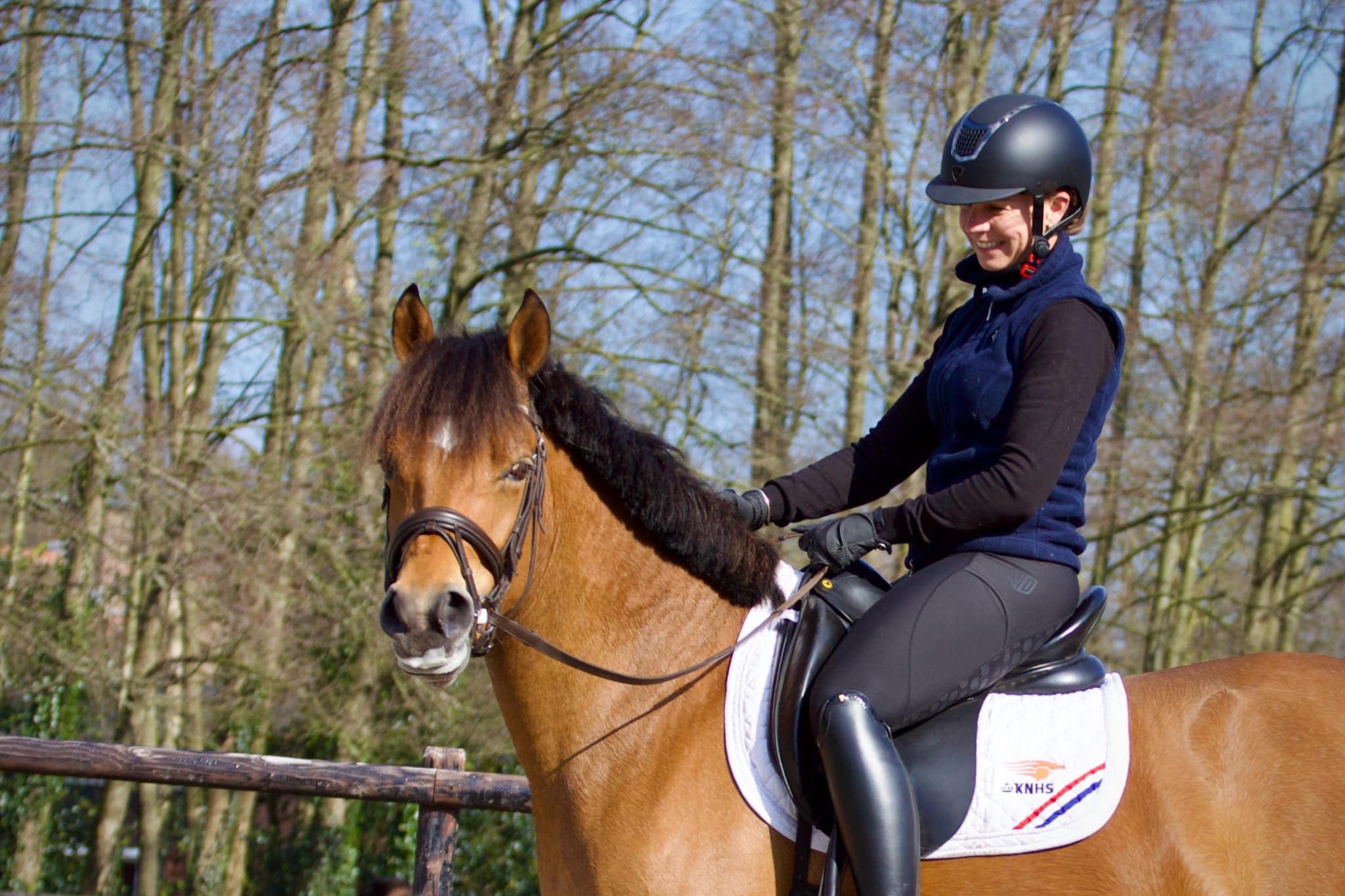 anglo-europees allround-pony merrie 7 år bruin till salu - Foto 2