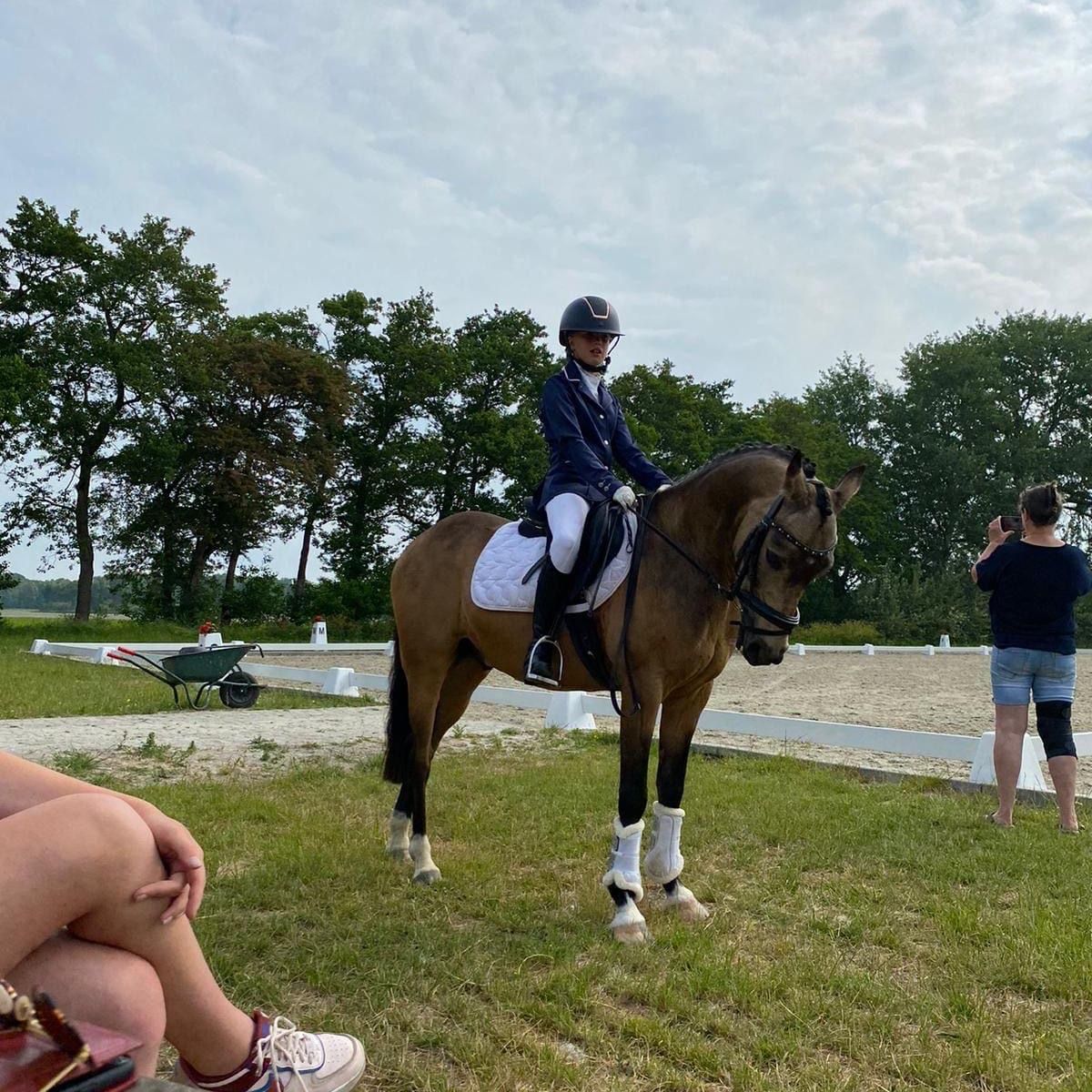 welsh allround-pony ruin 15 years old andere-kleur for sale - Photo 2