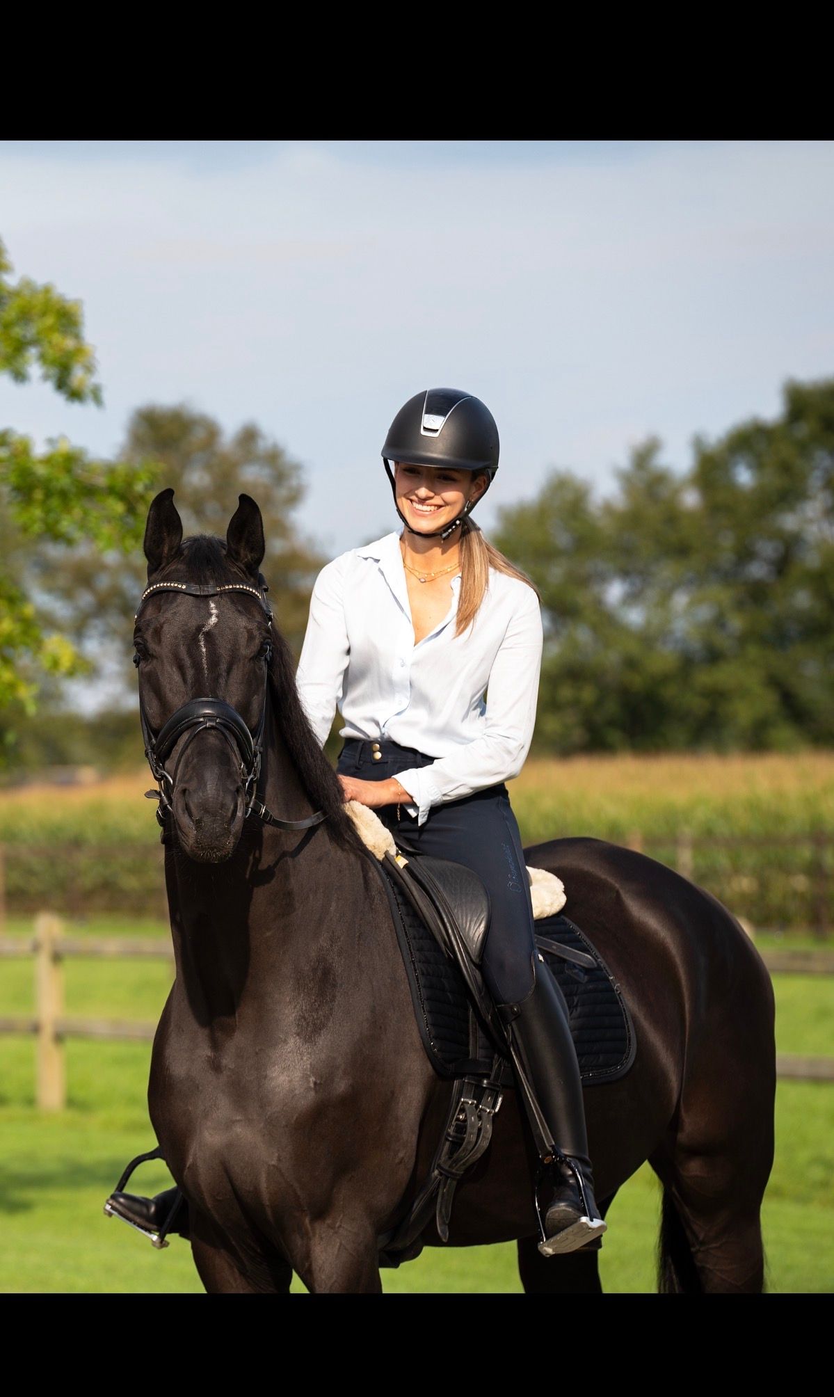 kwpn dressuurpaard ruin 7 años zwart en venta - Foto 4