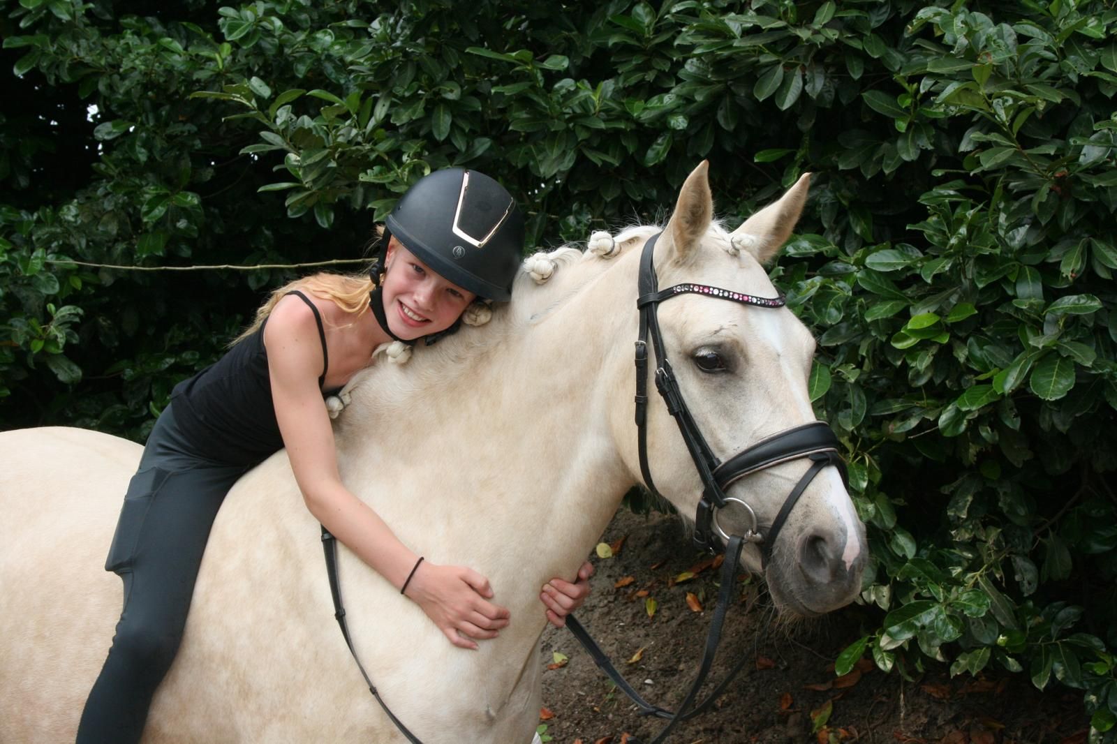 nrps allround-pony merrie 3 años palomino en venta - Foto 3