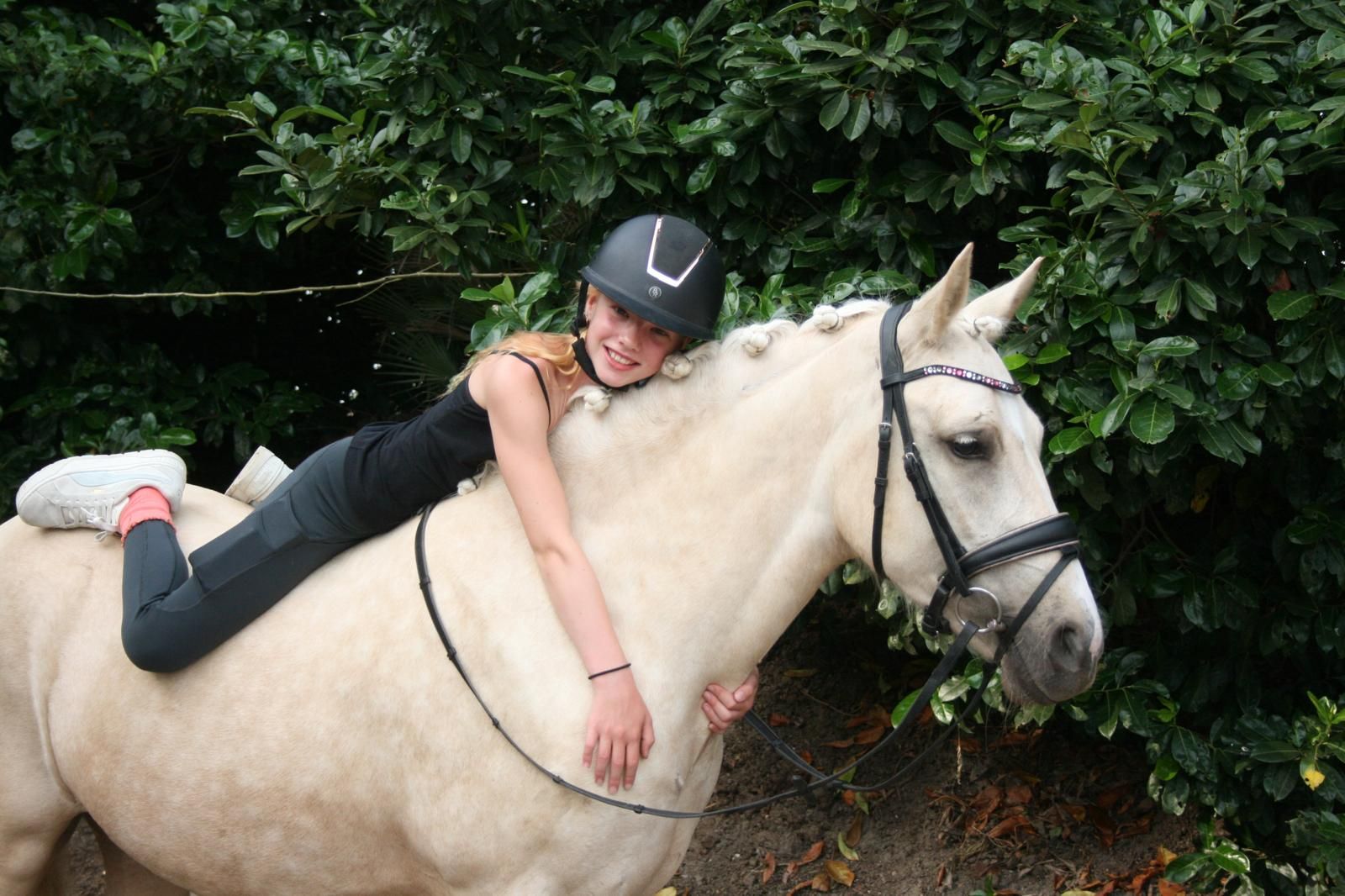 nrps allround-pony merrie 3 años palomino en venta - Foto 6