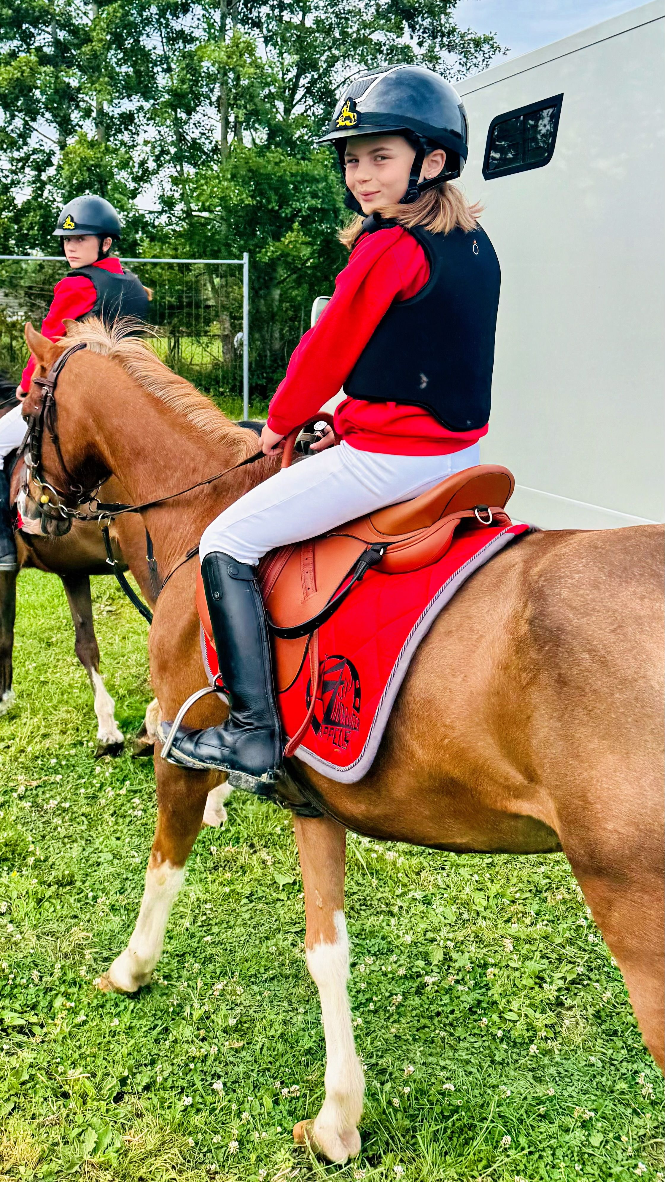 bwp allround-pony ruin 23 jaar bruin te koop - Foto 4