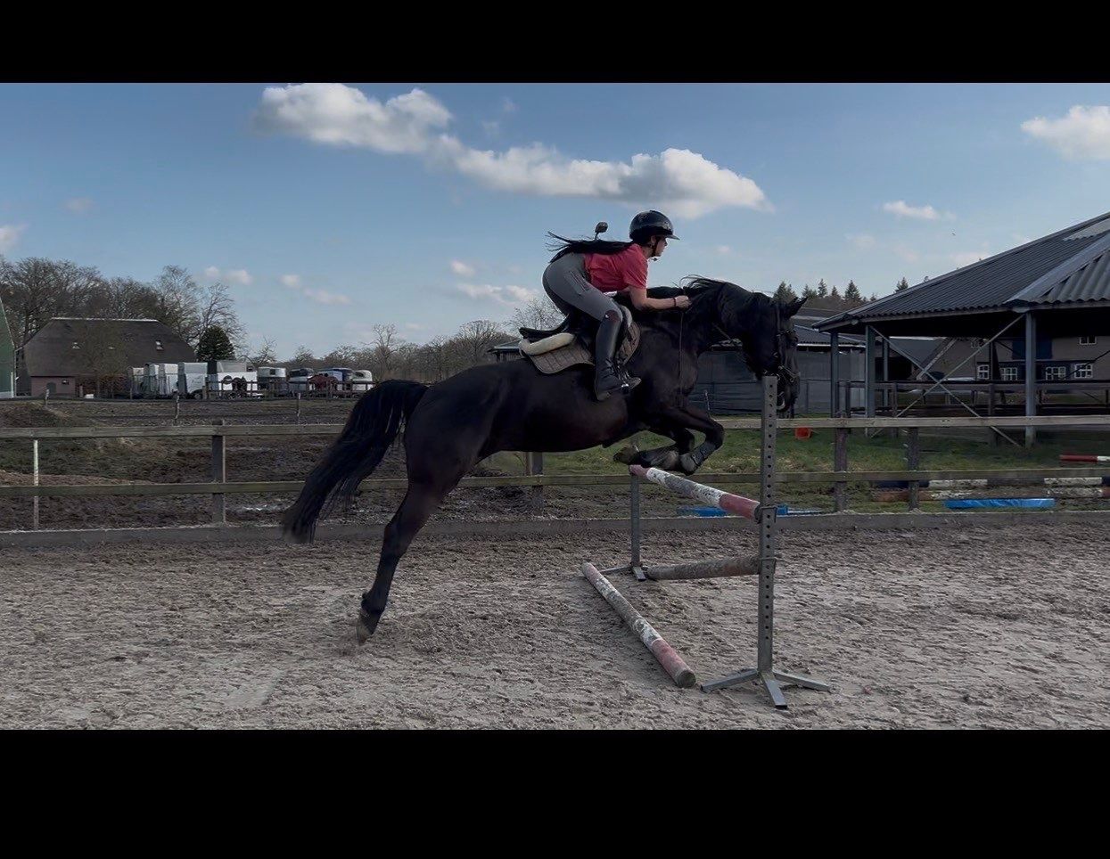 allrounder merrie 9 år till salu - Foto 4