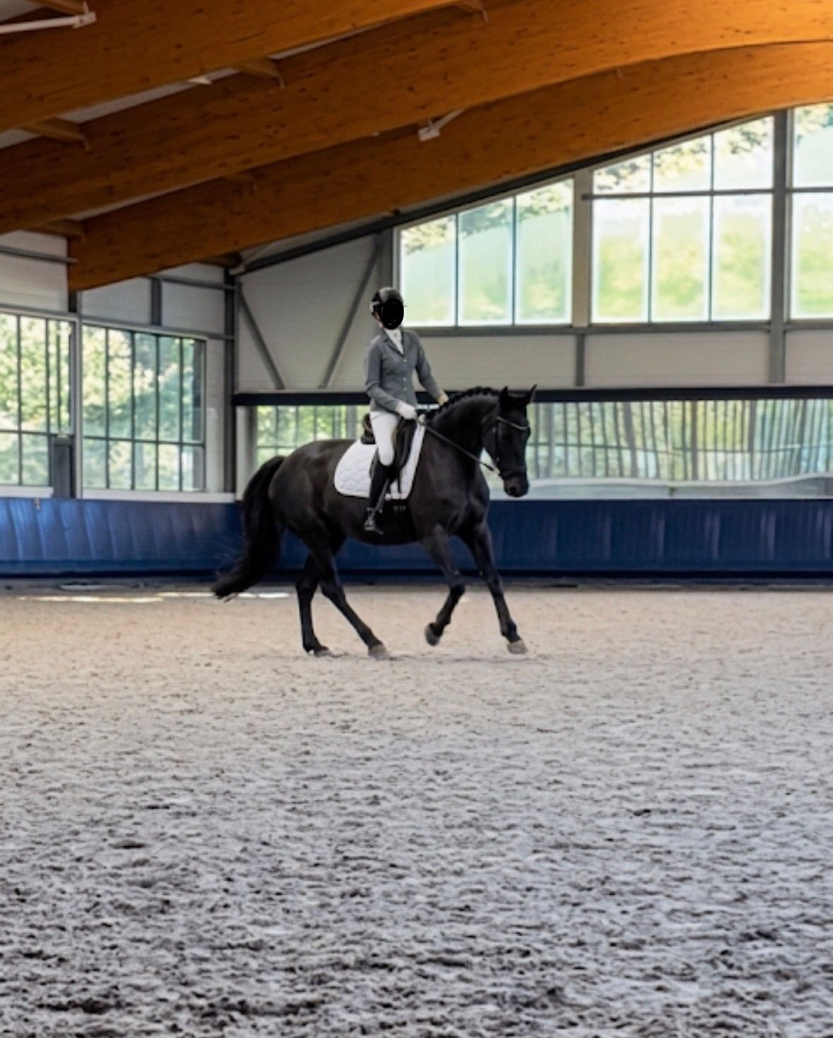 allrounder merrie 9 år till salu - Foto 2