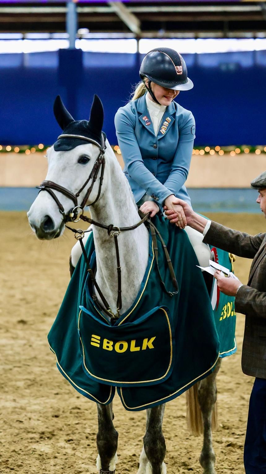 kwpn springpony merrie 6 jaar schimmel te koop - Foto 2