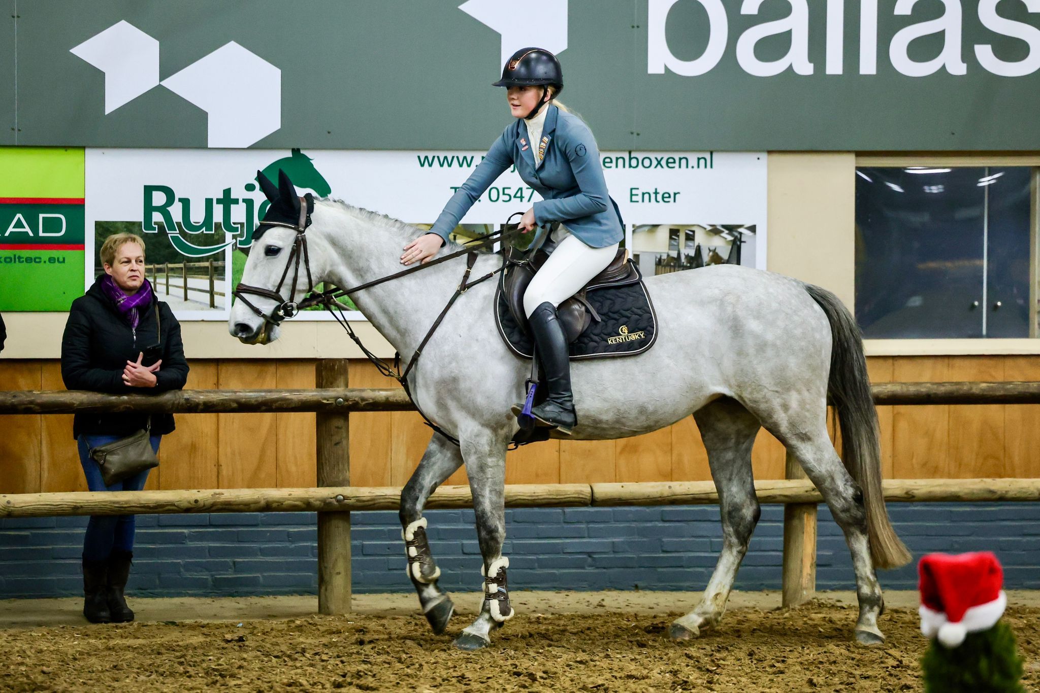 kwpn springpony merrie 6 jaar schimmel te koop - Foto 4