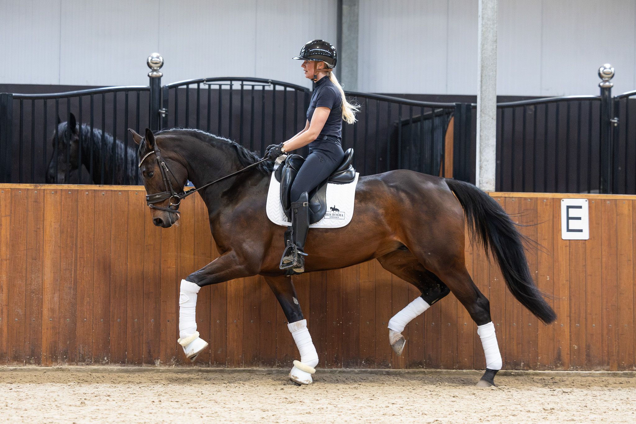 KWPN エリート（繁殖）牝馬、Lクラス馬場馬術、100%承認 (ggk)