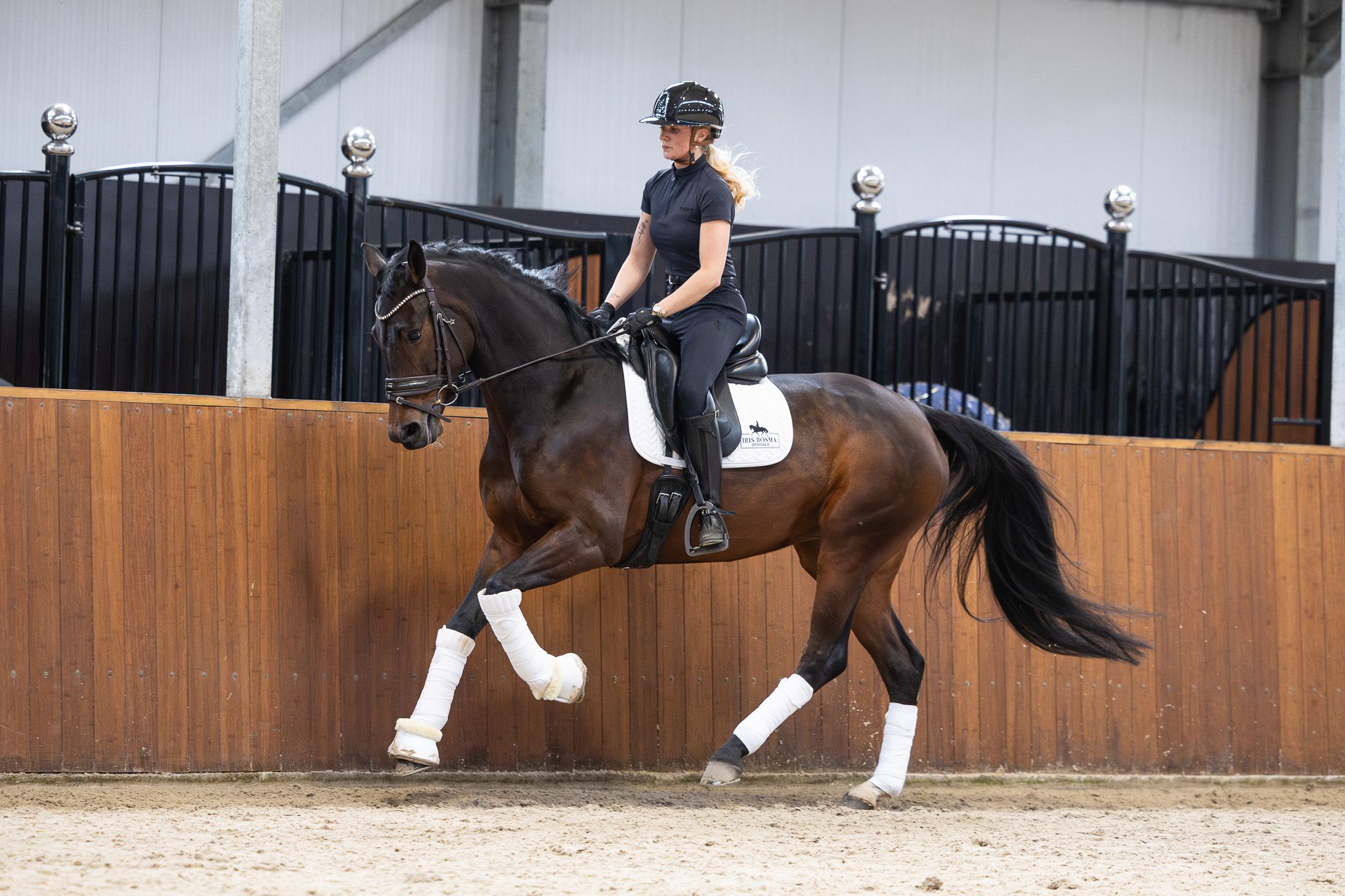 kwpn dressuurpaard merrie 7 歳 donkerbruin 売り出し中 - 写真 2