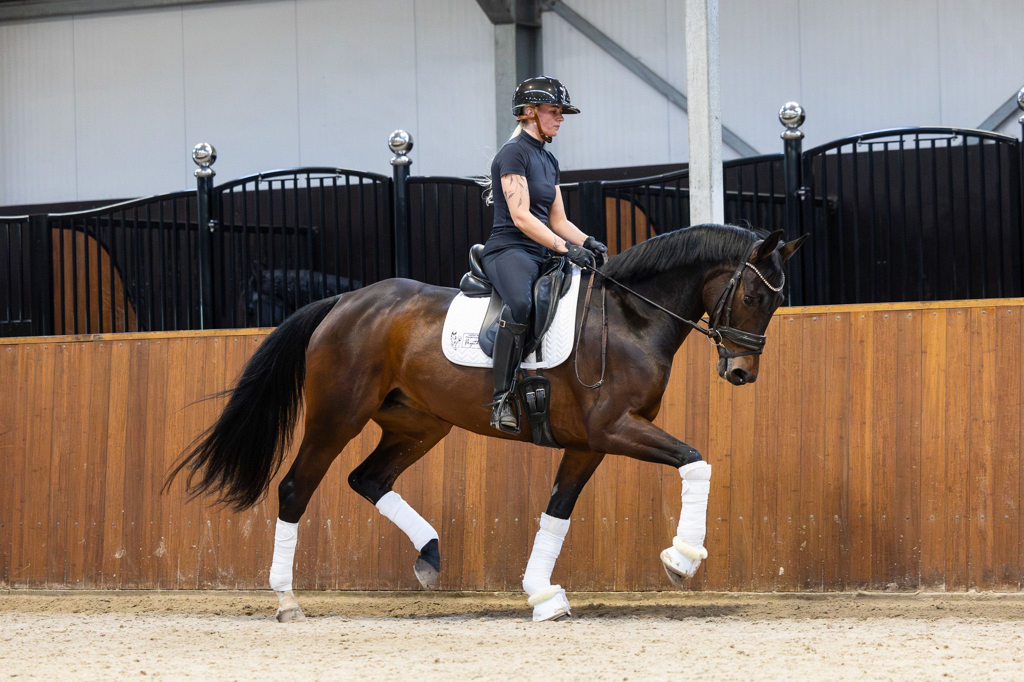 kwpn dressuurpaard merrie 7 歳 donkerbruin 売り出し中 - 写真 3