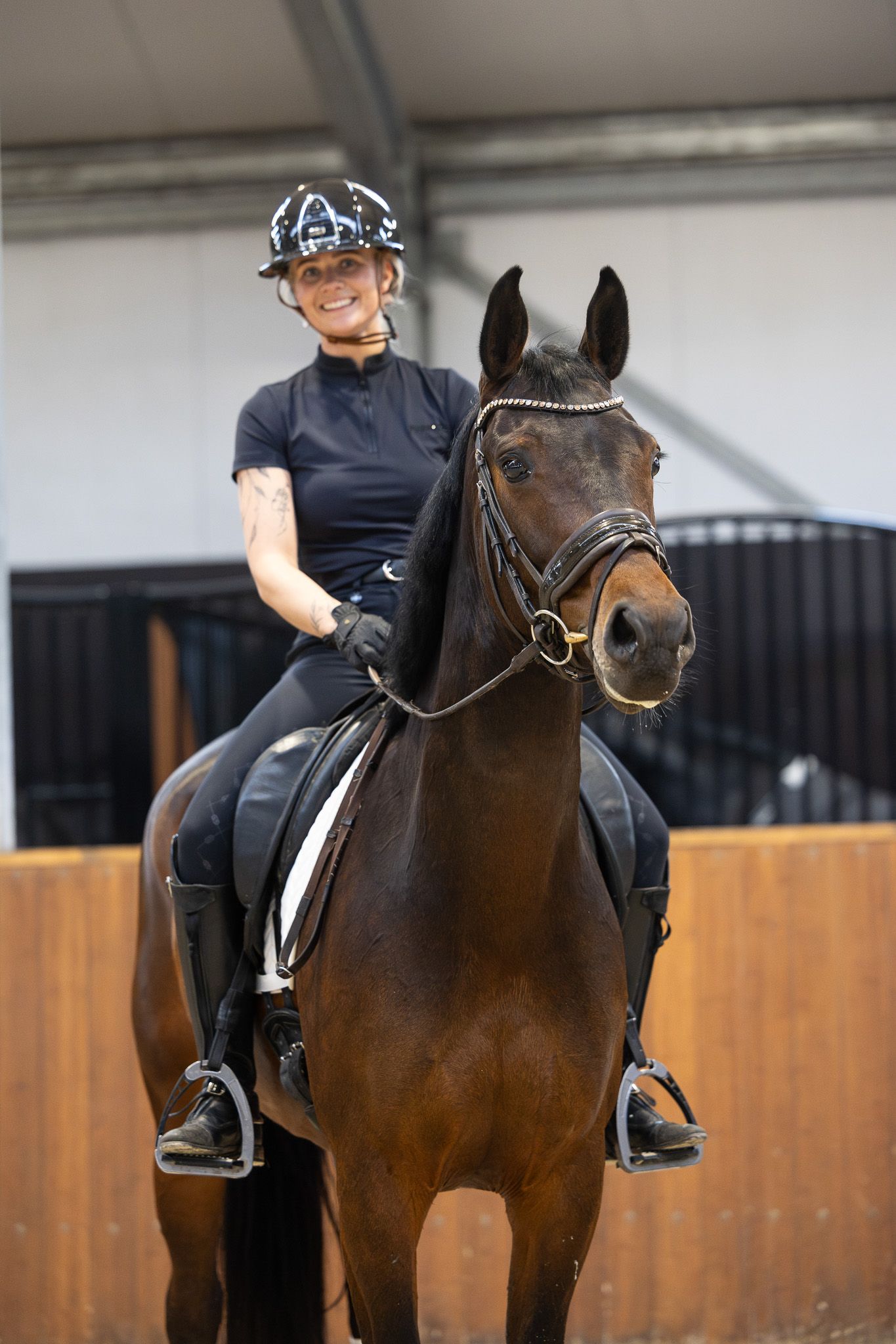 kwpn dressuurpaard merrie 7 歳 donkerbruin 売り出し中 - 写真 6