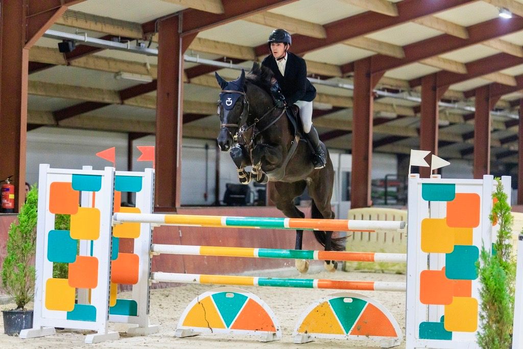 kwpn springpaard merrie 7 years old zwart for sale - Photo 3
