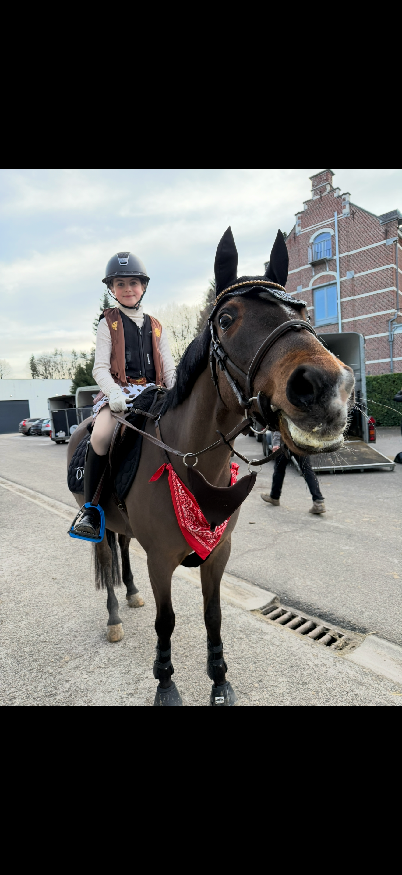 springpony merrie 22 years old donkerbruin for sale - Photo 5