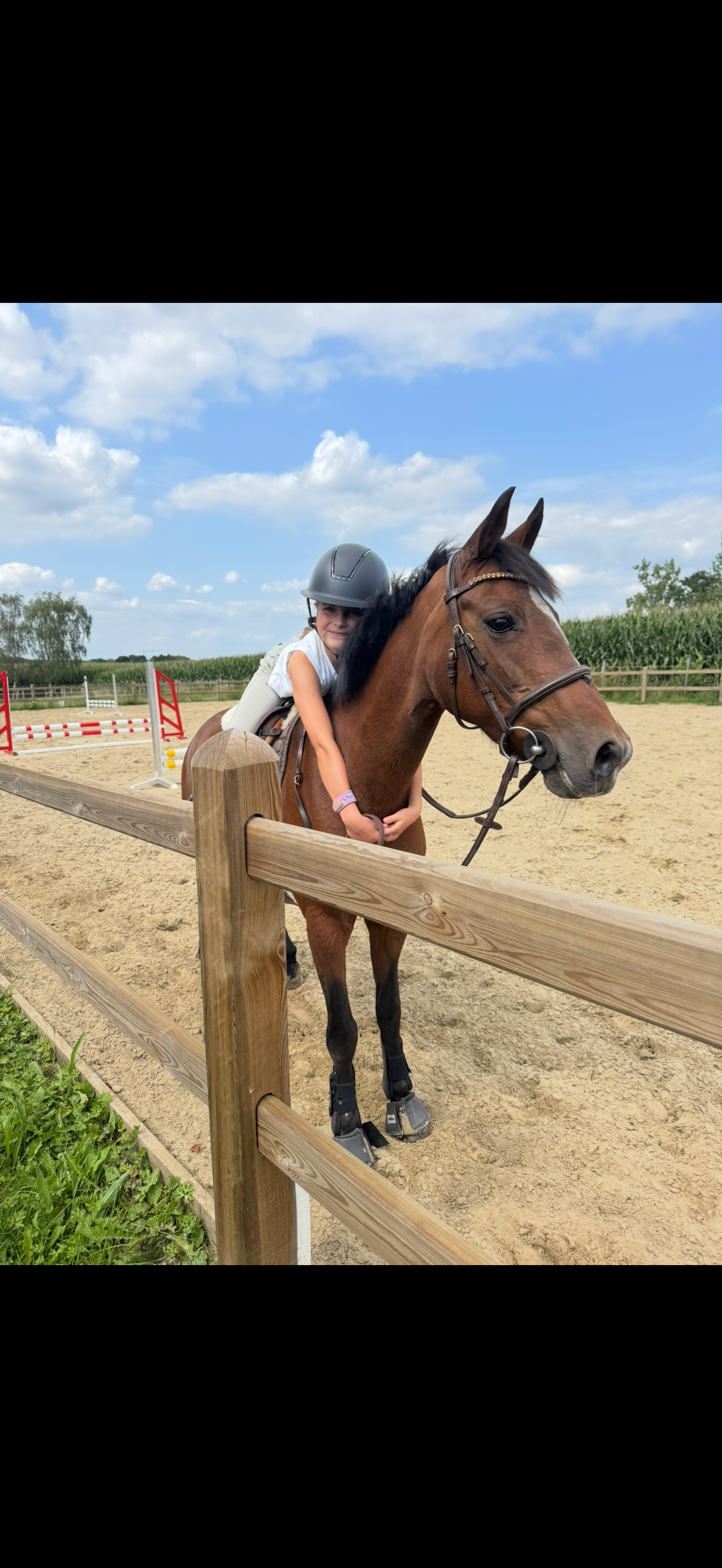 springpony merrie 22 years old donkerbruin for sale - Photo 4