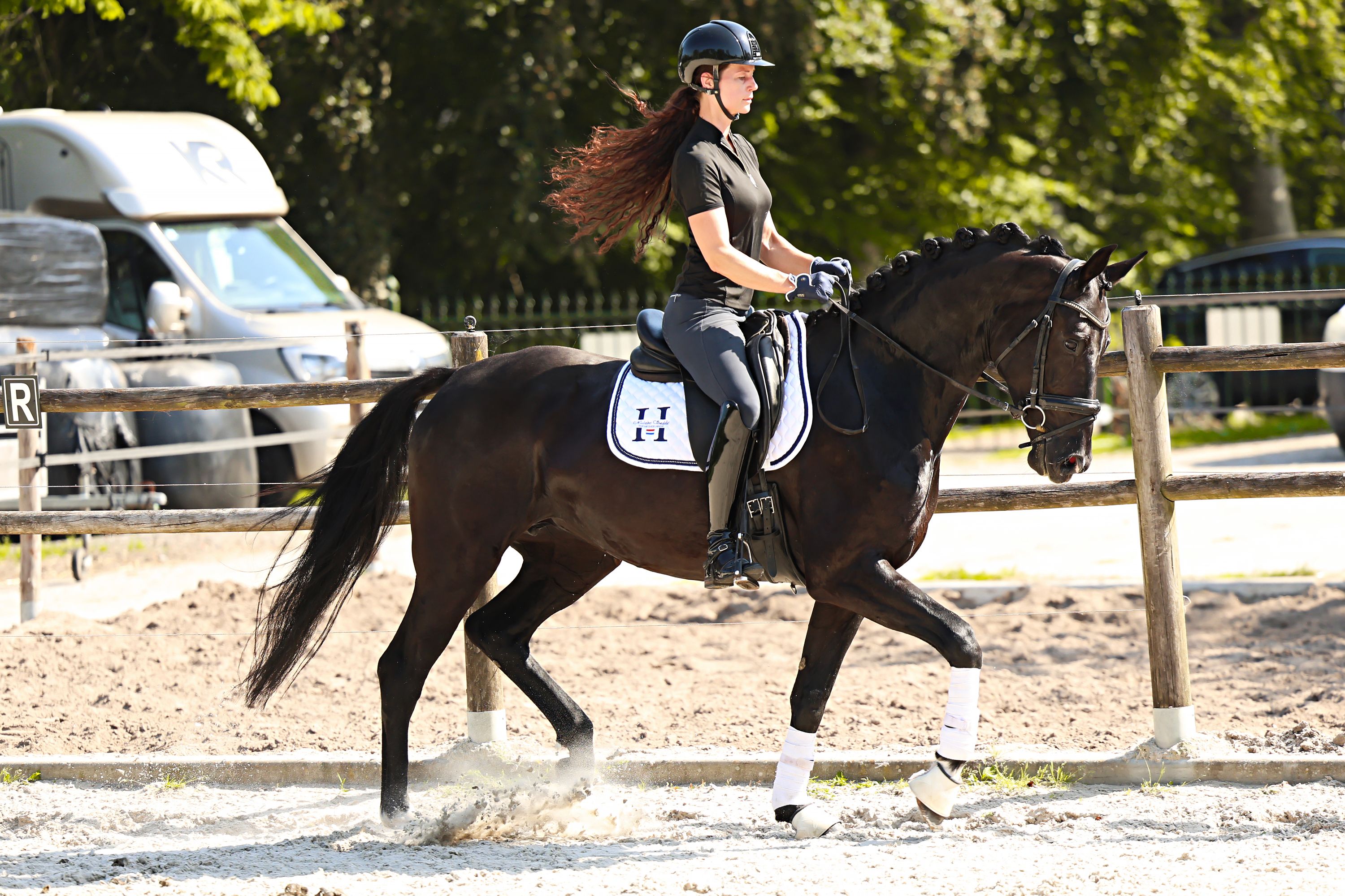 kwpn dressuurpaard merrie 4 years old zwart for sale - Photo 5