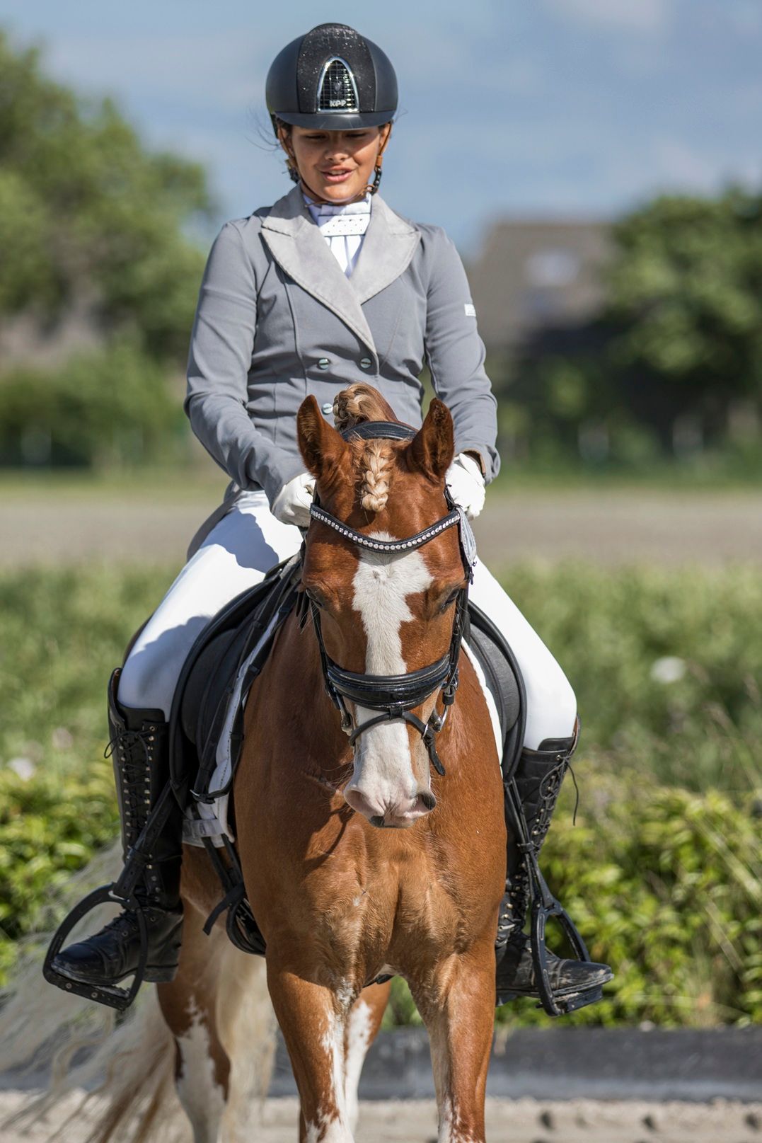 welsh-cob allround-pony ruin 4 years old vos for sale - Photo 4