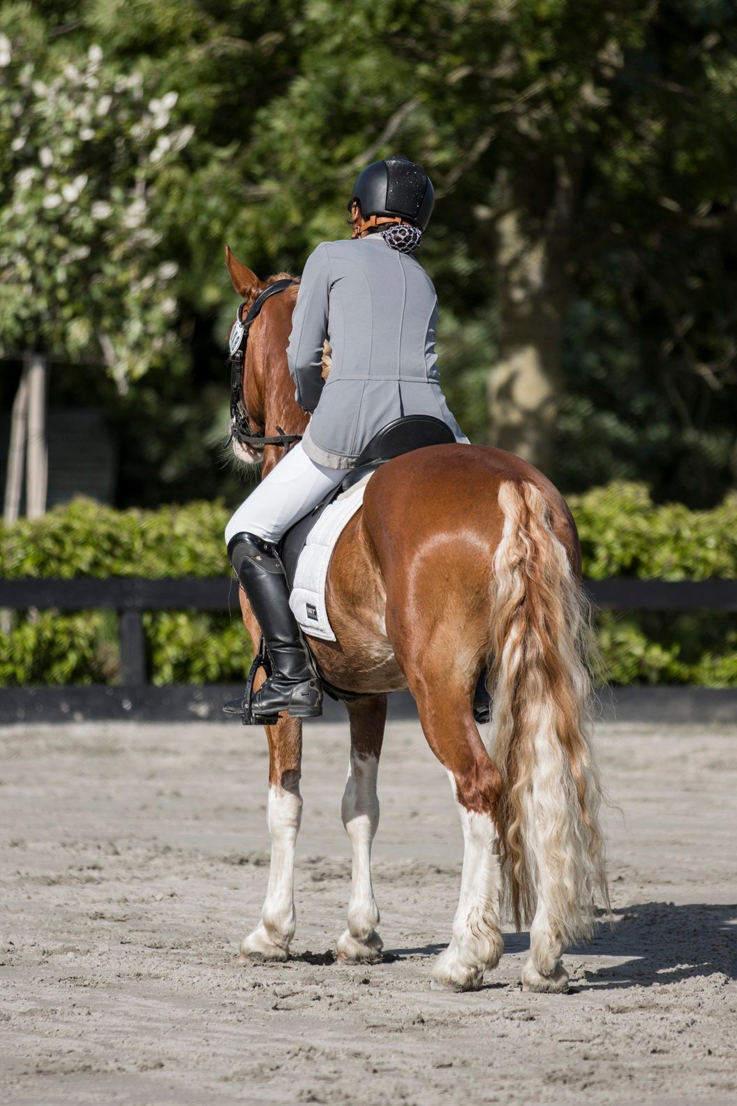 Talented and very handsome all-rounder Category D