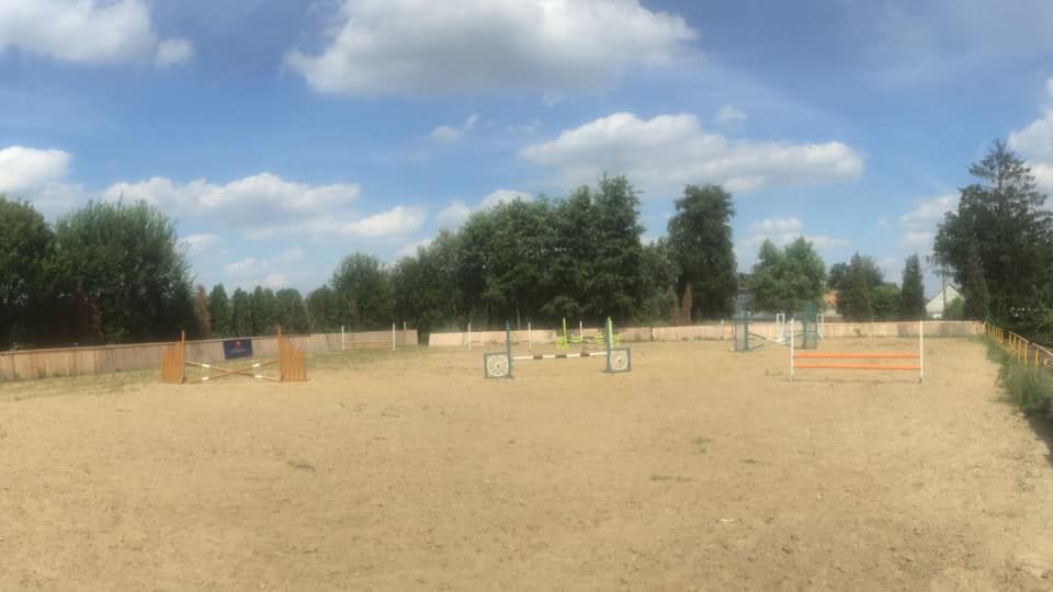 Horse boarding available – Heusden-Zolder, Limburg