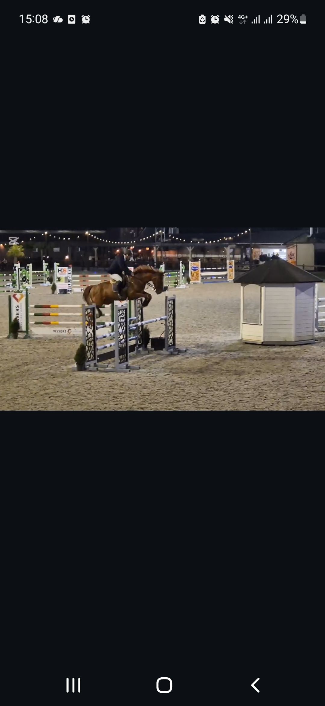 springpaard ruin 8 jaar te koop - Hoofdfoto