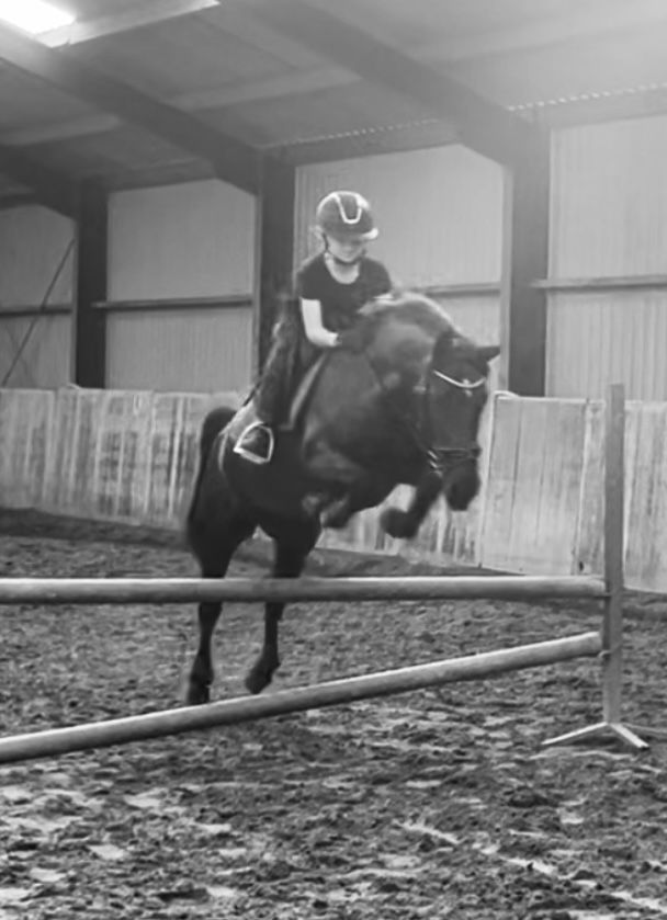 ander allround-pony merrie 7 anos zwart à venda - Foto 2