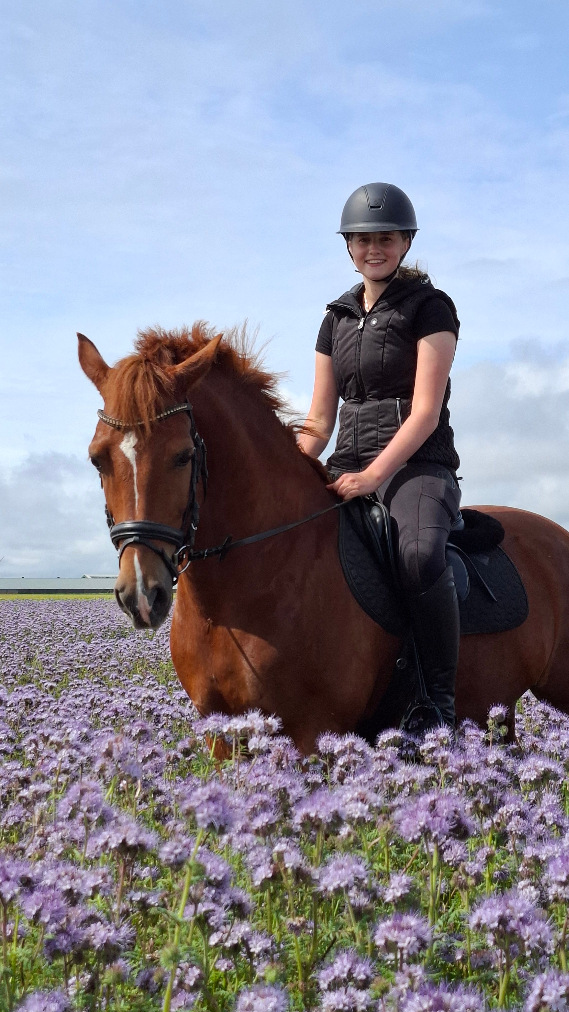 Bellissimo pony D