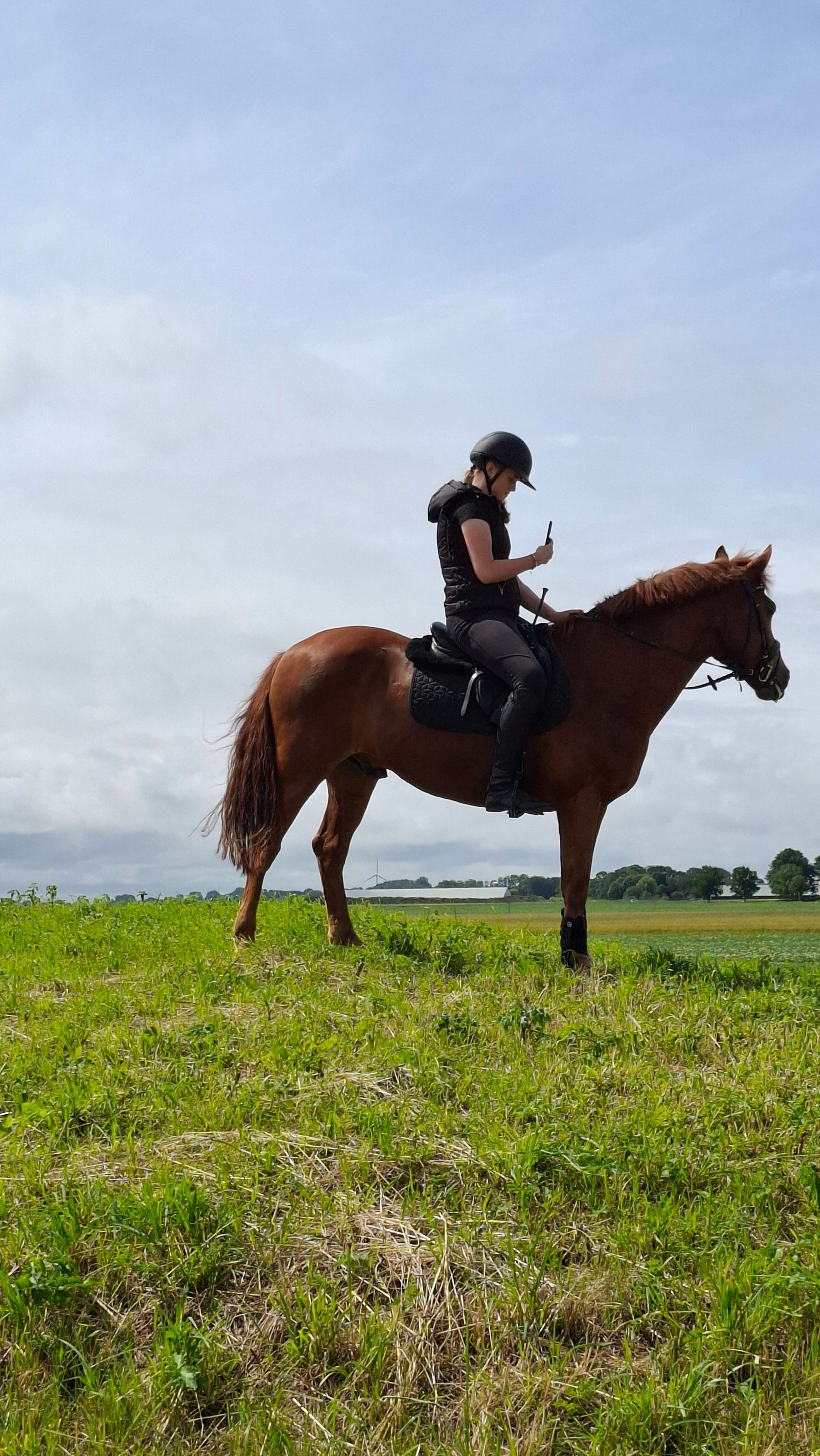 nrps allround-pony ruin 10 ani vos de vânzare - Foto 3