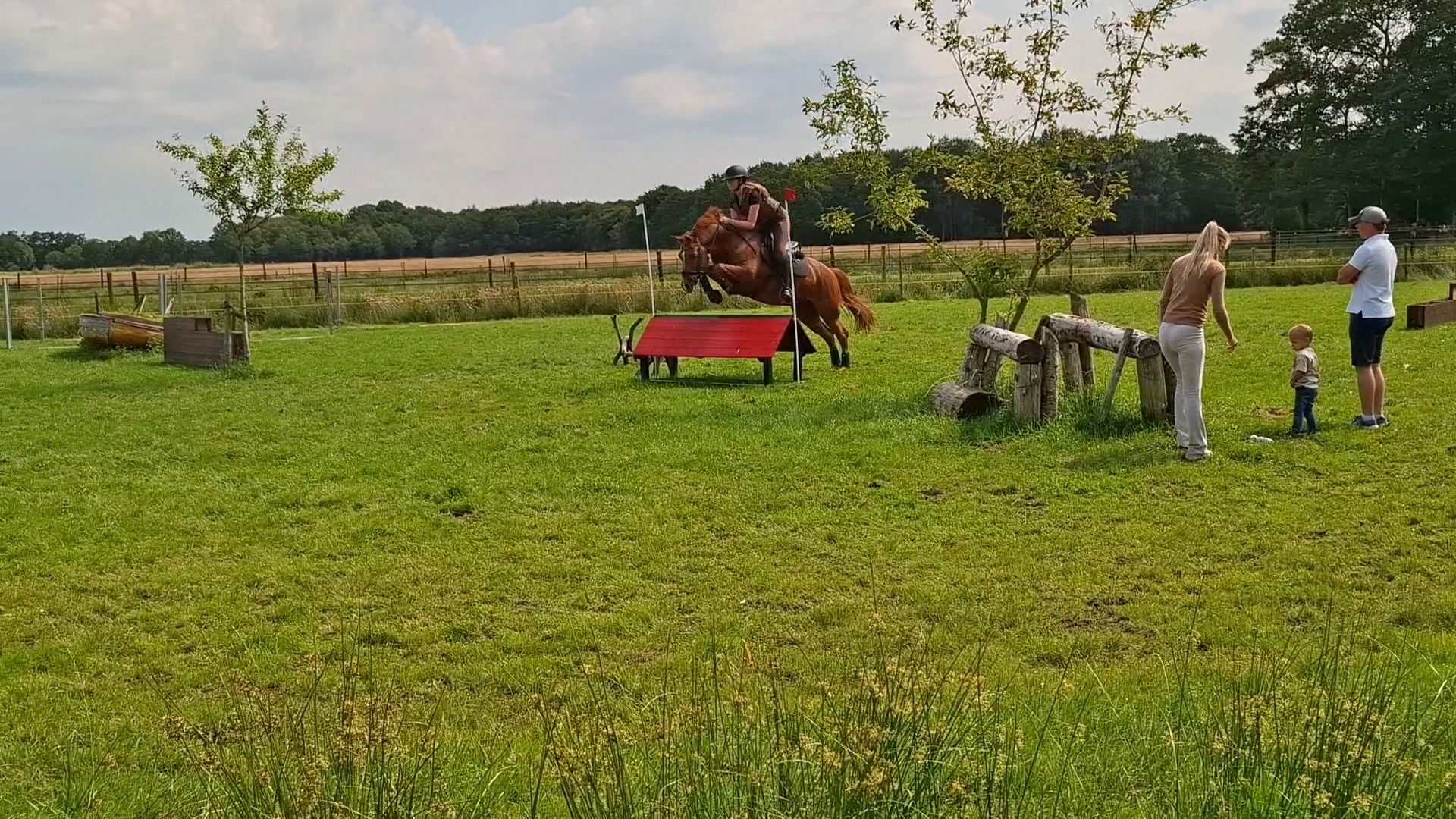 nrps allround-pony ruin 10 ani vos de vânzare - Foto 4