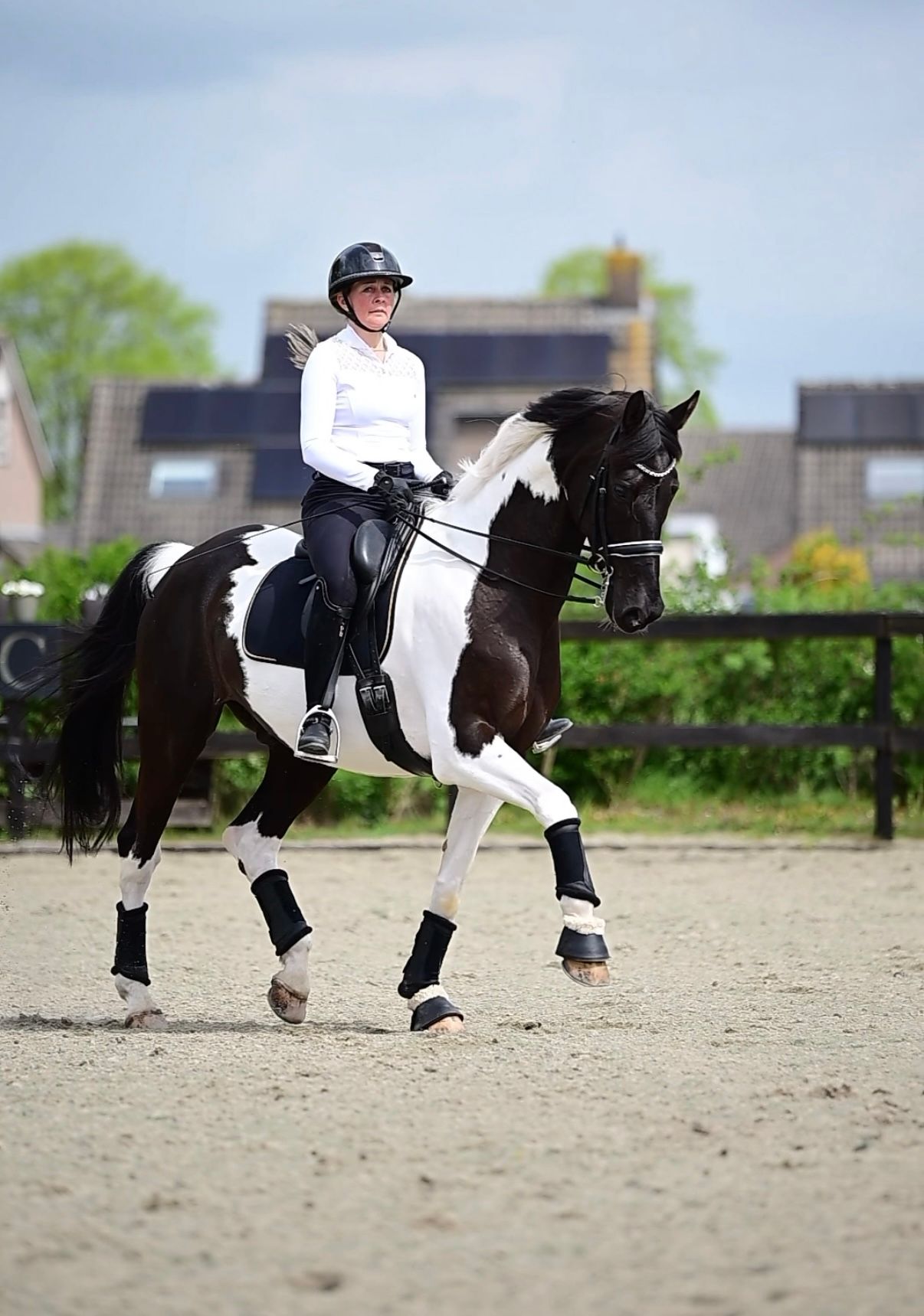 ✨ Speciell 9-årig valack ✨