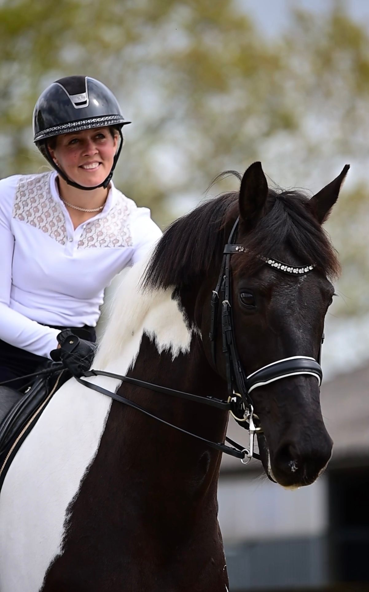 Ander stamboek dressuurpaard ruin 9 jaar andere-kleur te koop - Foto 2