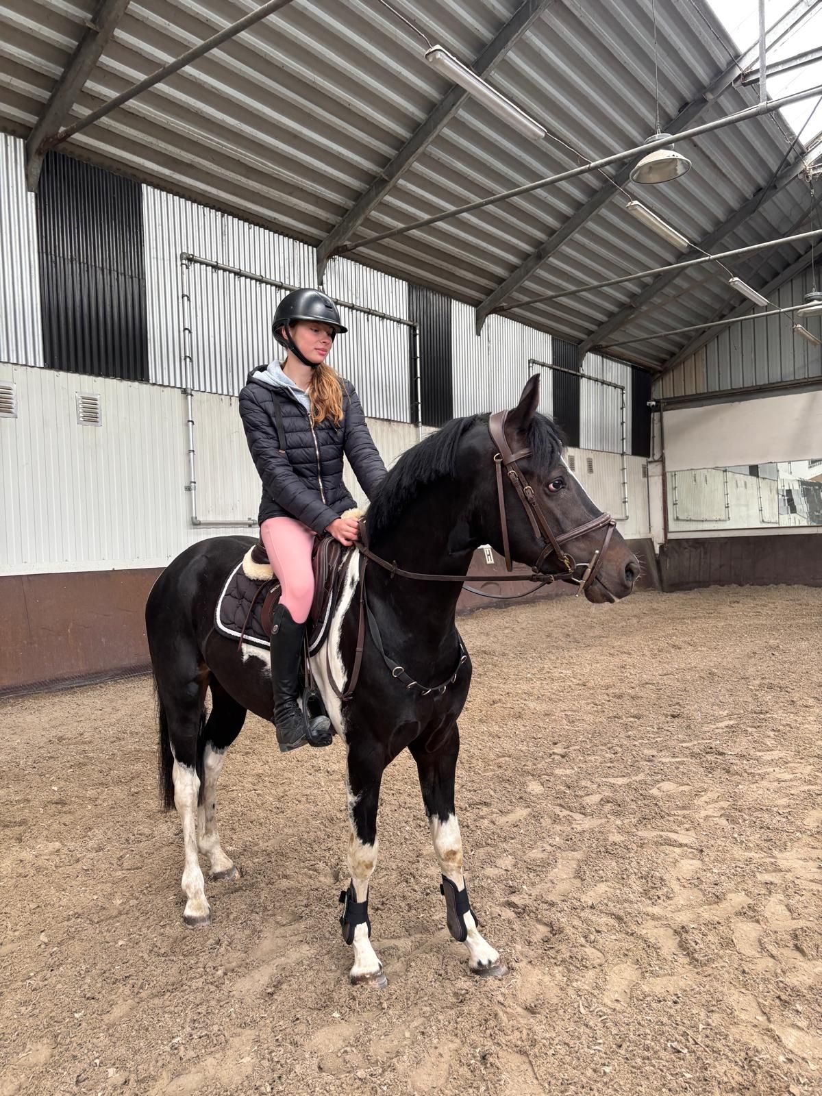 sbs springpony hengst 3 jaar andere-kleur te koop - Foto 4