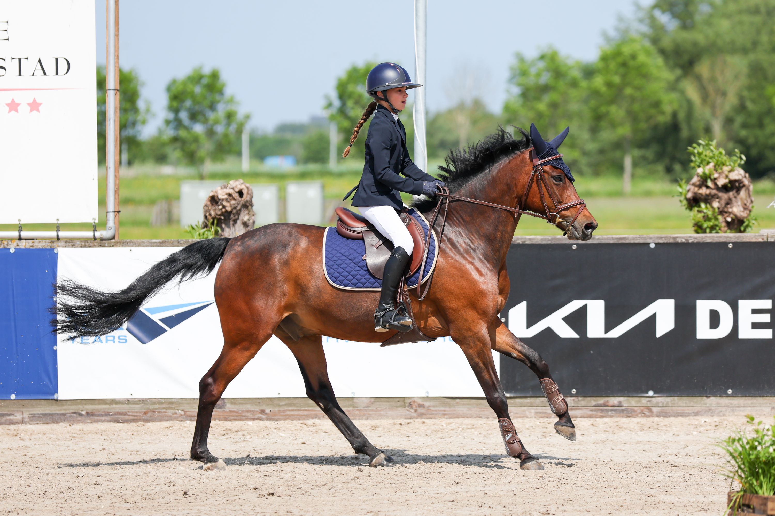 bwp allround-pony ruin 12 years old bruin for sale - Photo 3