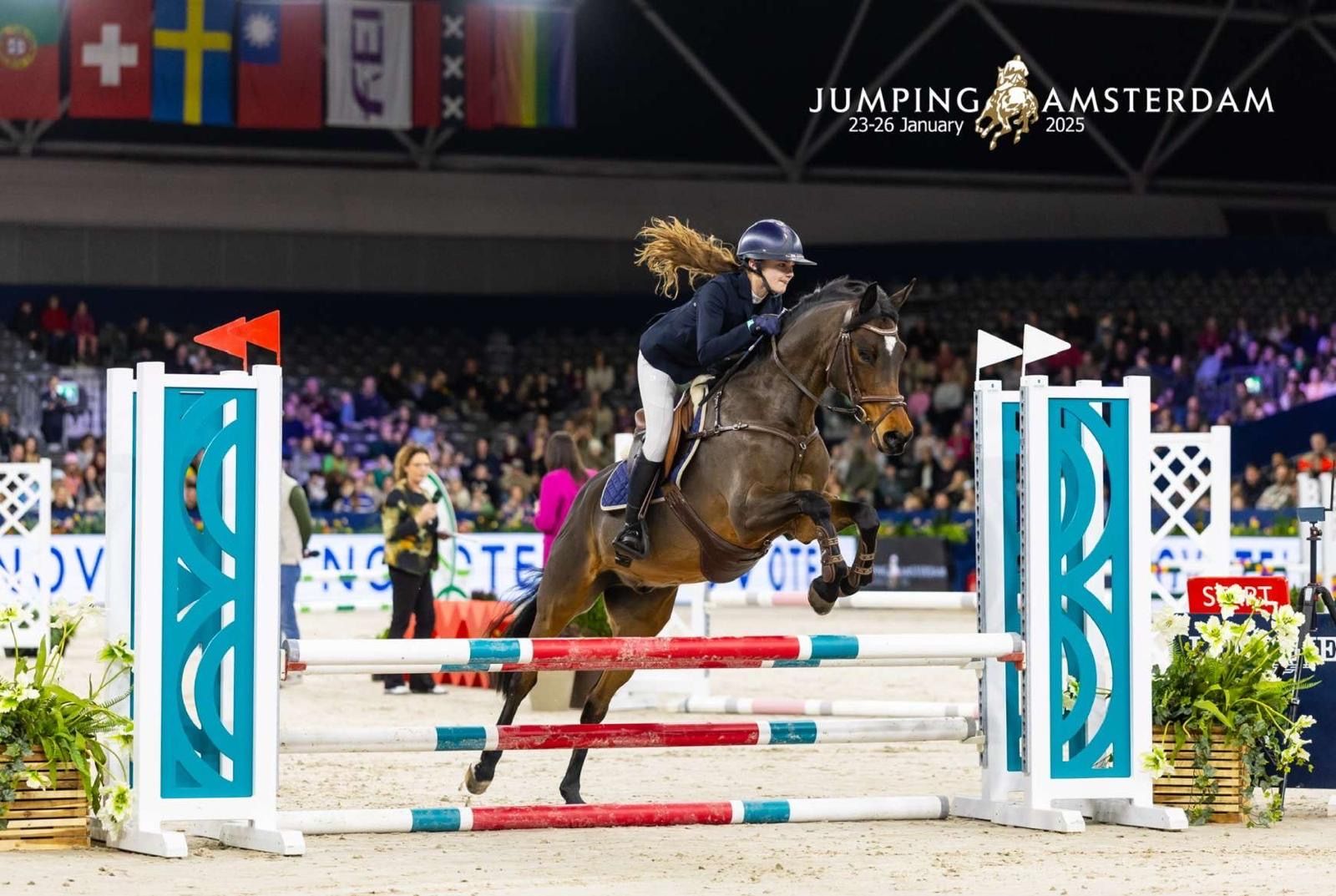 bwp allround-pony ruin 12 years old bruin for sale - Photo 4