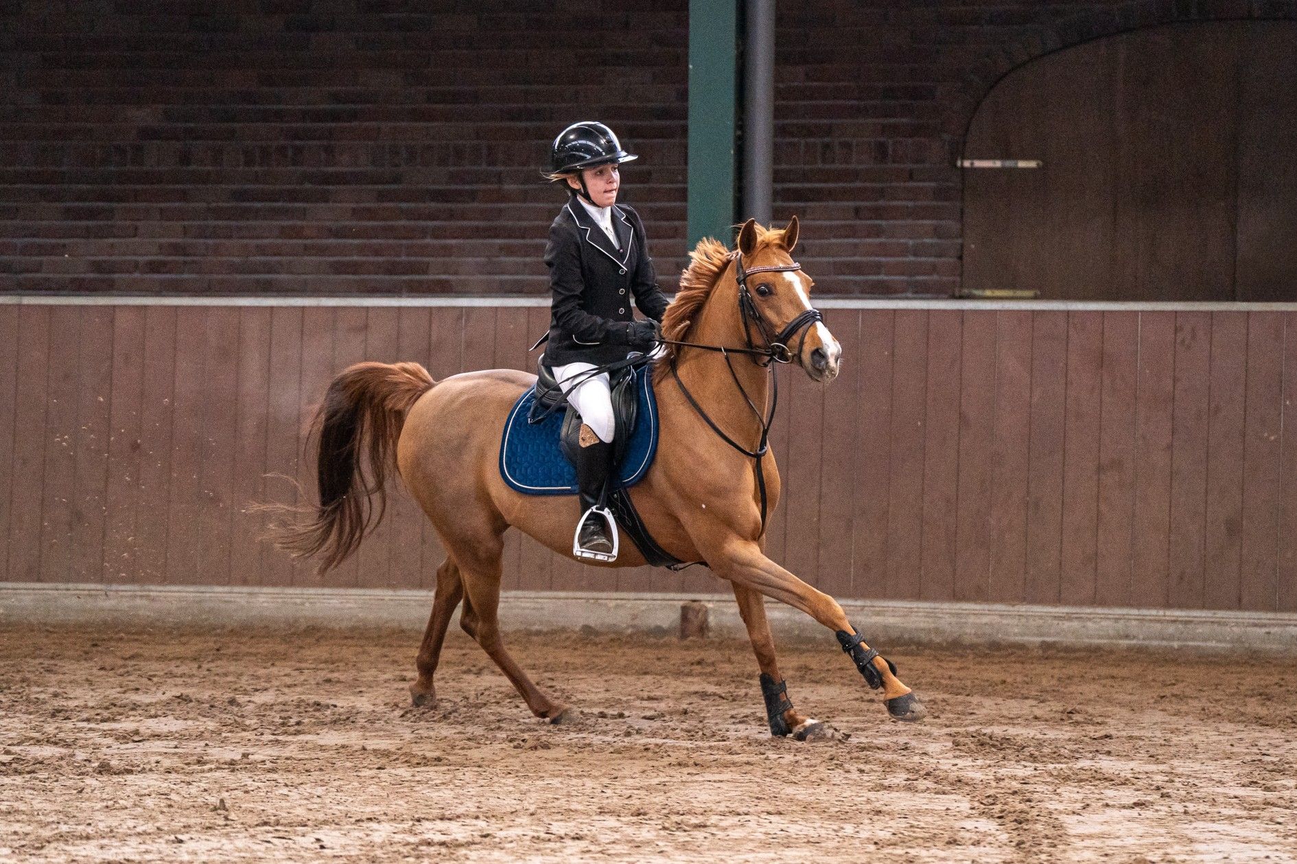 Superlyhörd och pålitlig D-ponny 
 - Foto 4