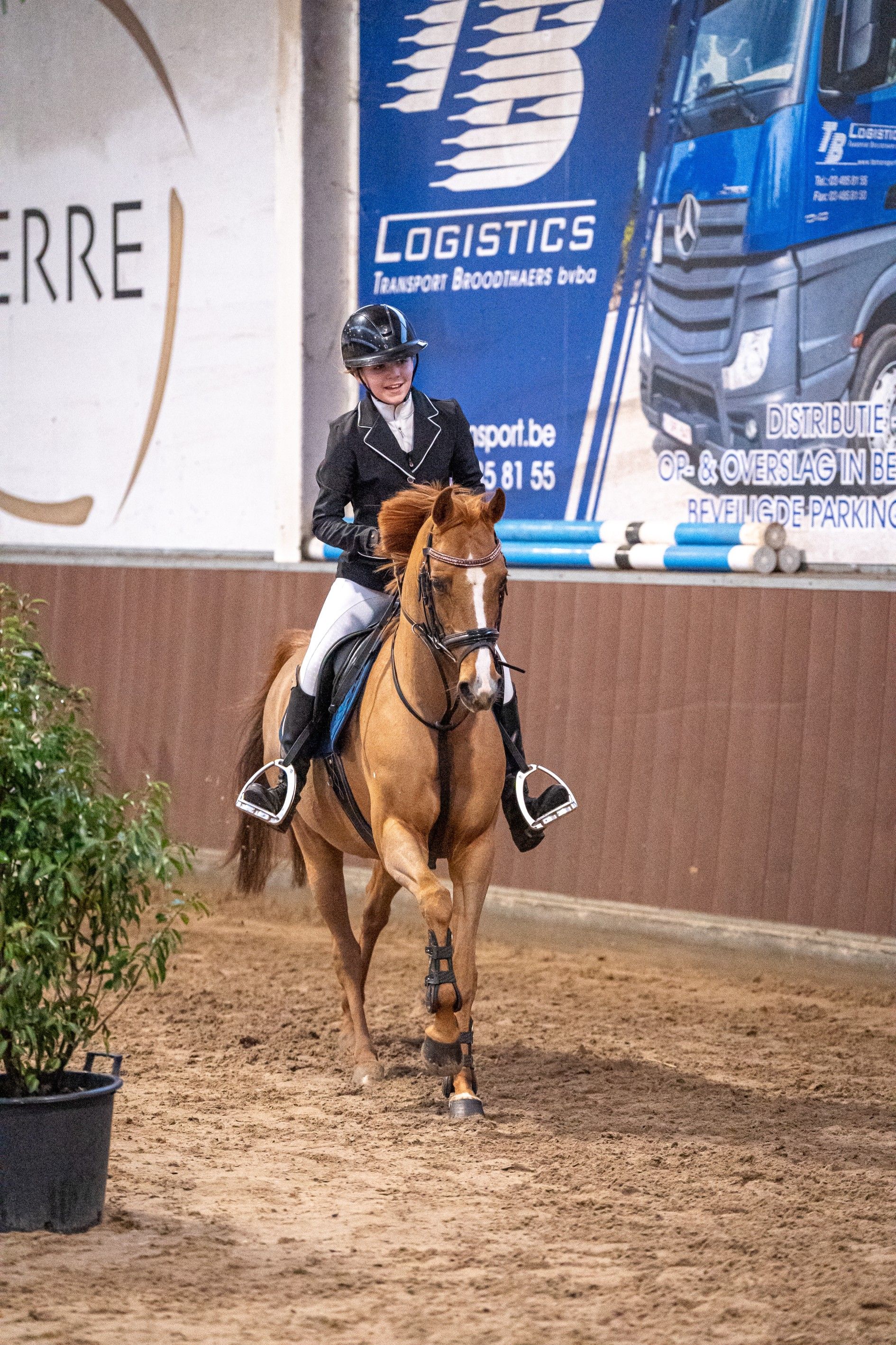 Superlyhörd och pålitlig D-ponny 
 - Foto 6