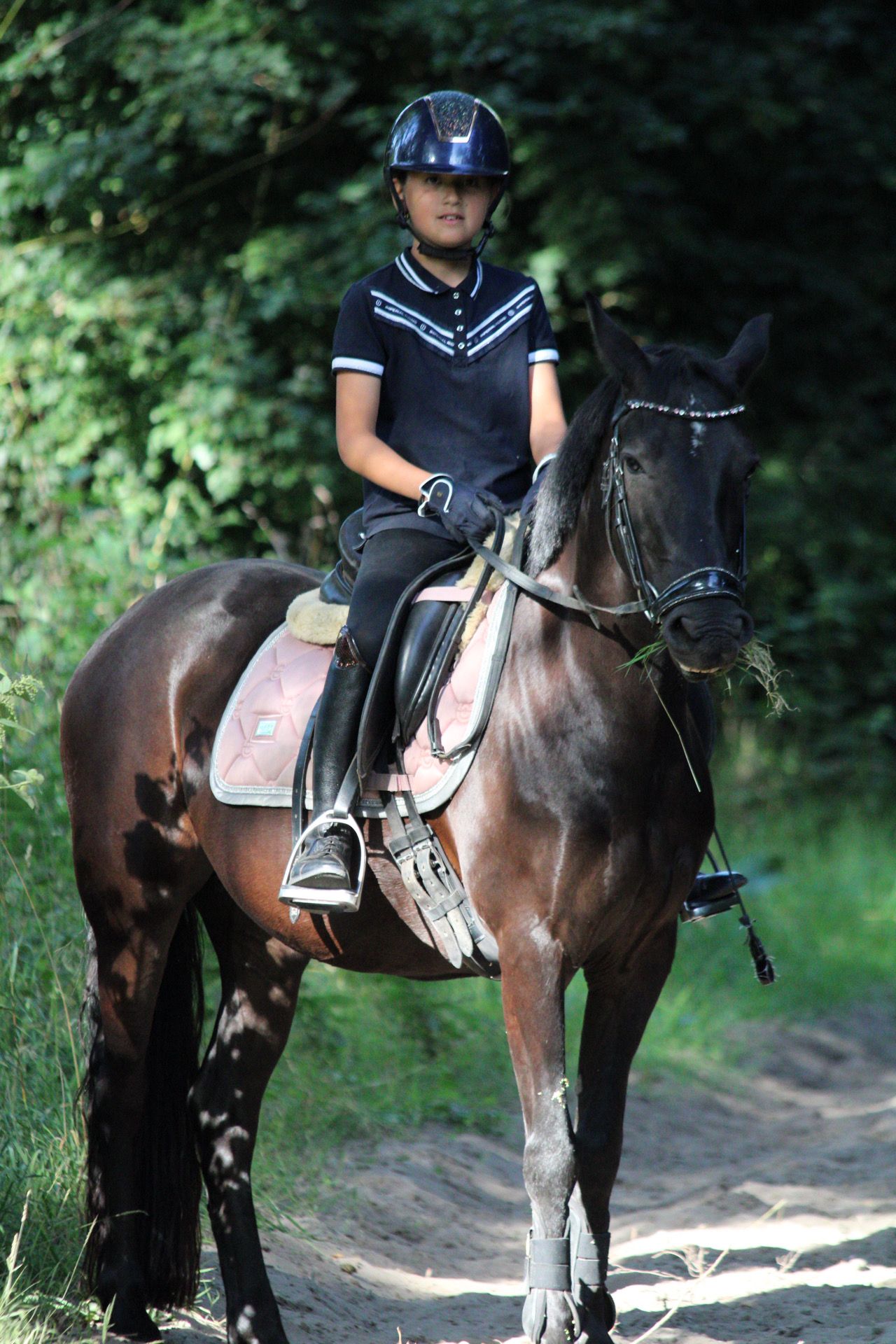 allround-pony merrie 10 jaar zwart te koop - Foto 2