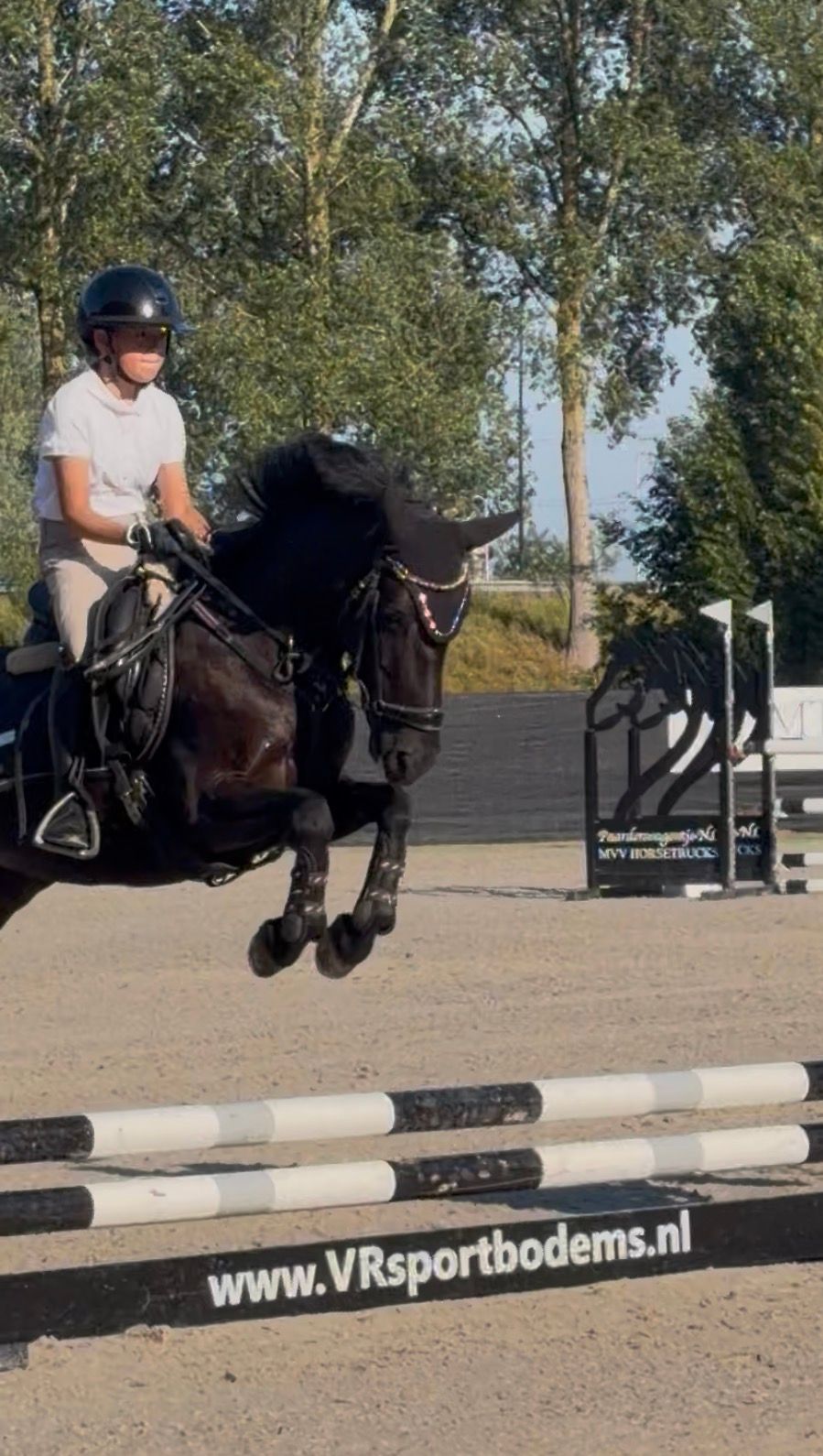 allround-pony merrie 10 jaar zwart te koop - Foto 5