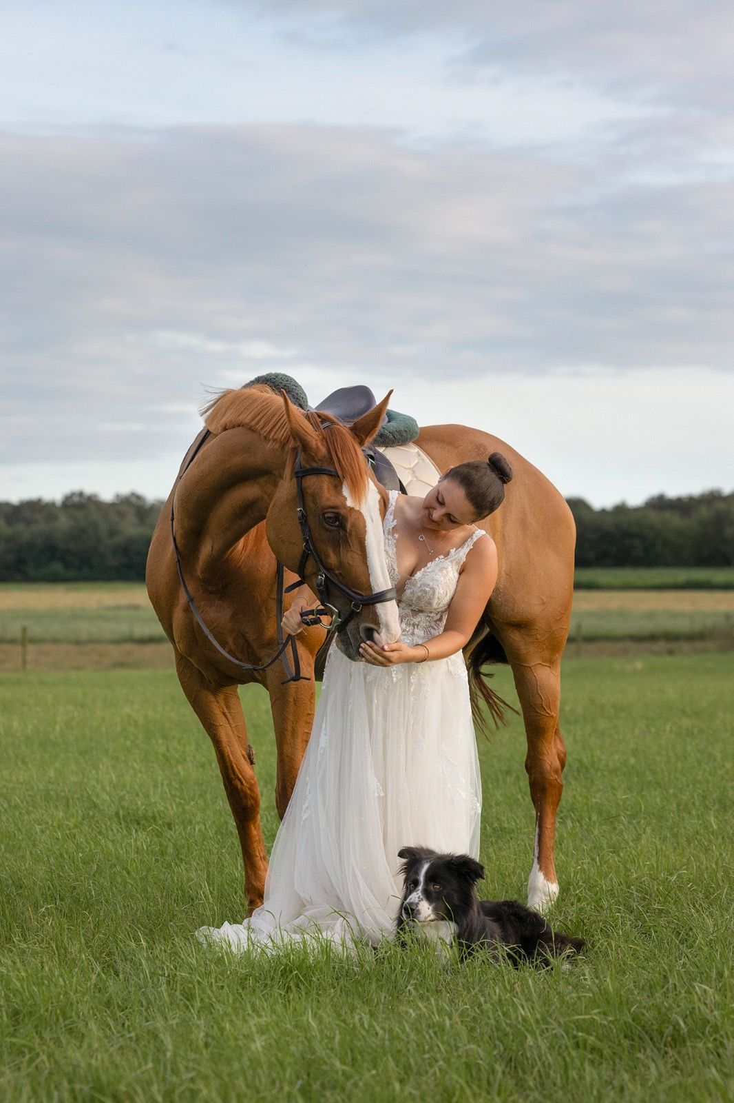 10-year-old mare / Show jumper / All-rounder